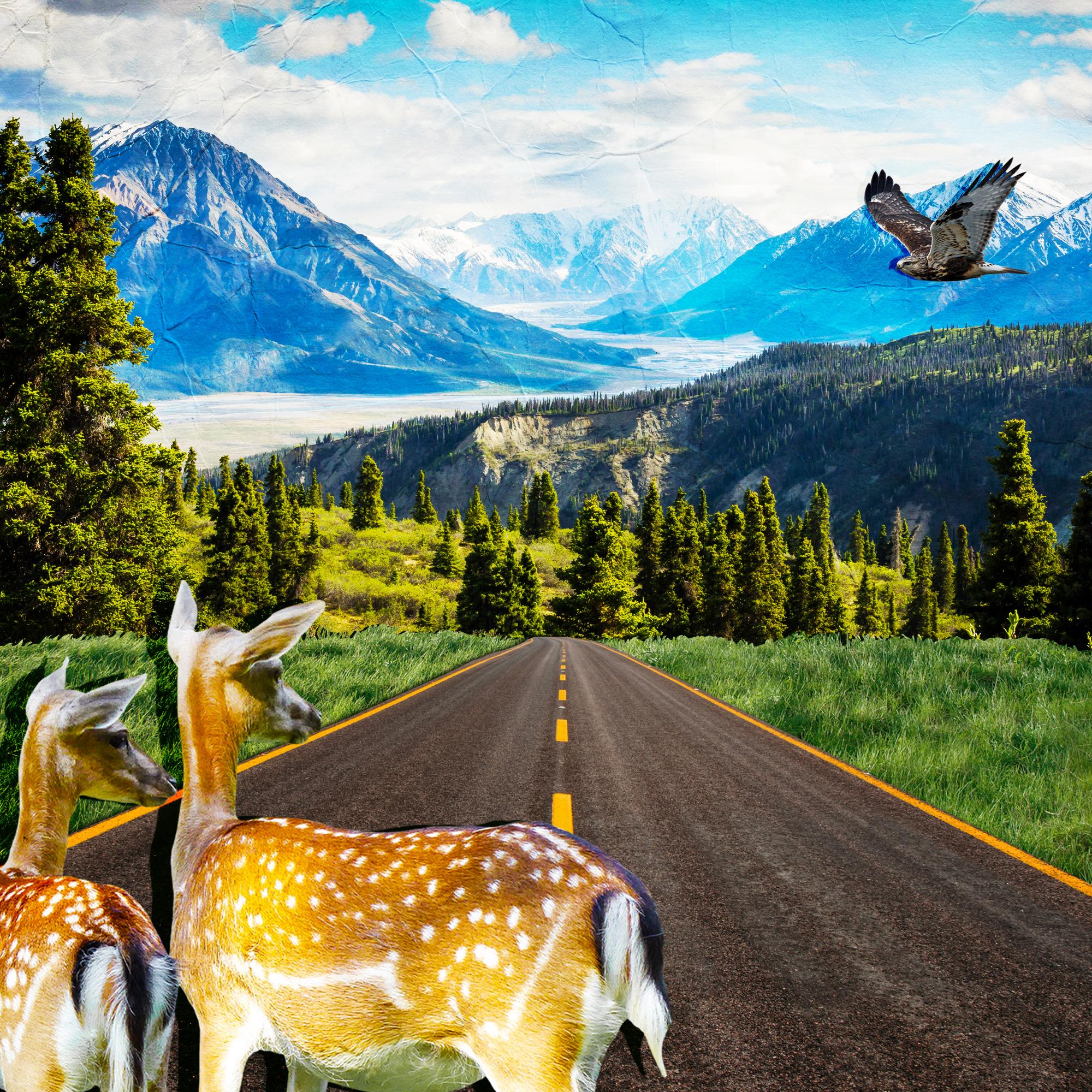 Thumbnail for "Roads Scholars". Thumbnail for "Roads Scholars".