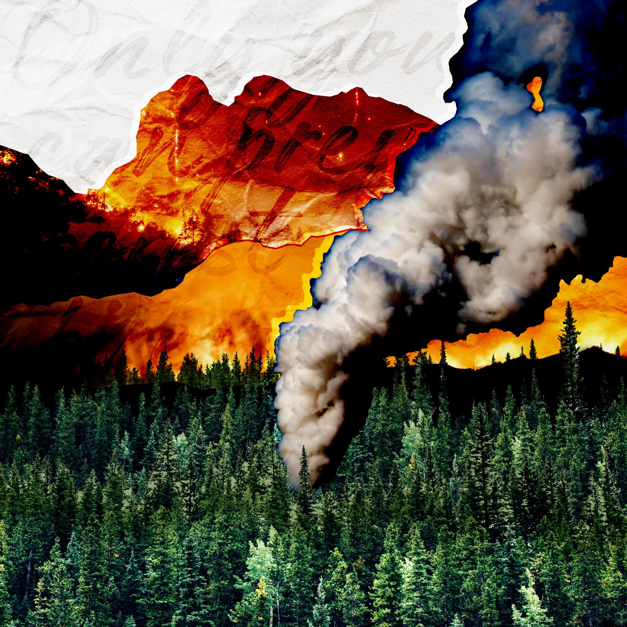 Thumbnail for "Why Wildfires Are Burning Hotter and Longer".