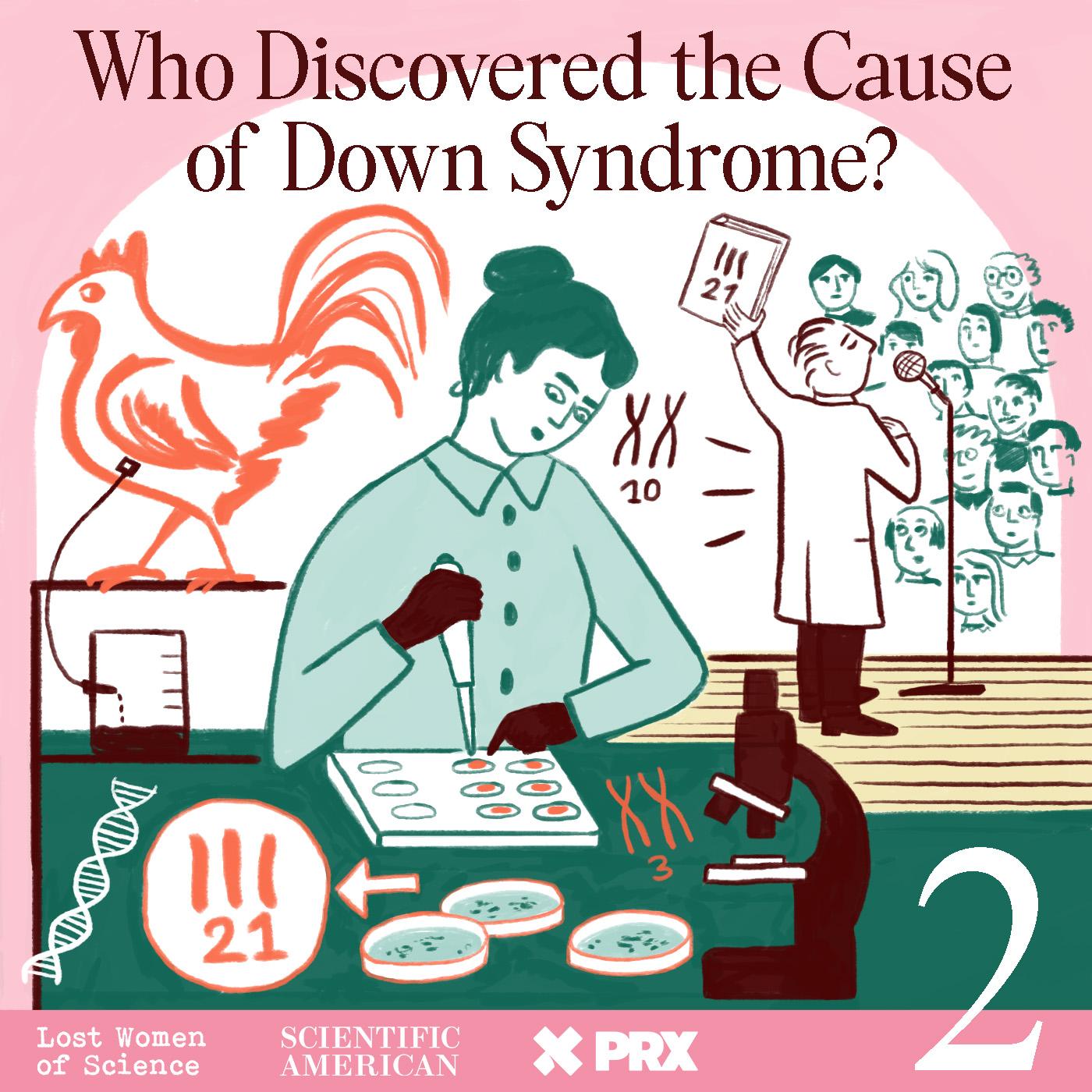 Thumbnail for "Who Discovered the Cause of Down Syndrome ? Episode Two". Thumbnail for "Who Discovered the Cause of Down Syndrome ? Episode Two".