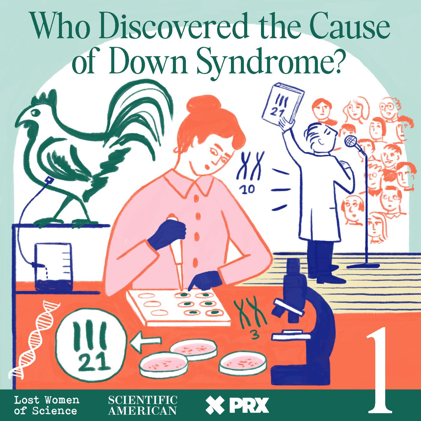 Thumbnail for "Who Discovered the Cause of Down Syndrome? Episode One". Thumbnail for "Who Discovered the Cause of Down Syndrome? Episode One".