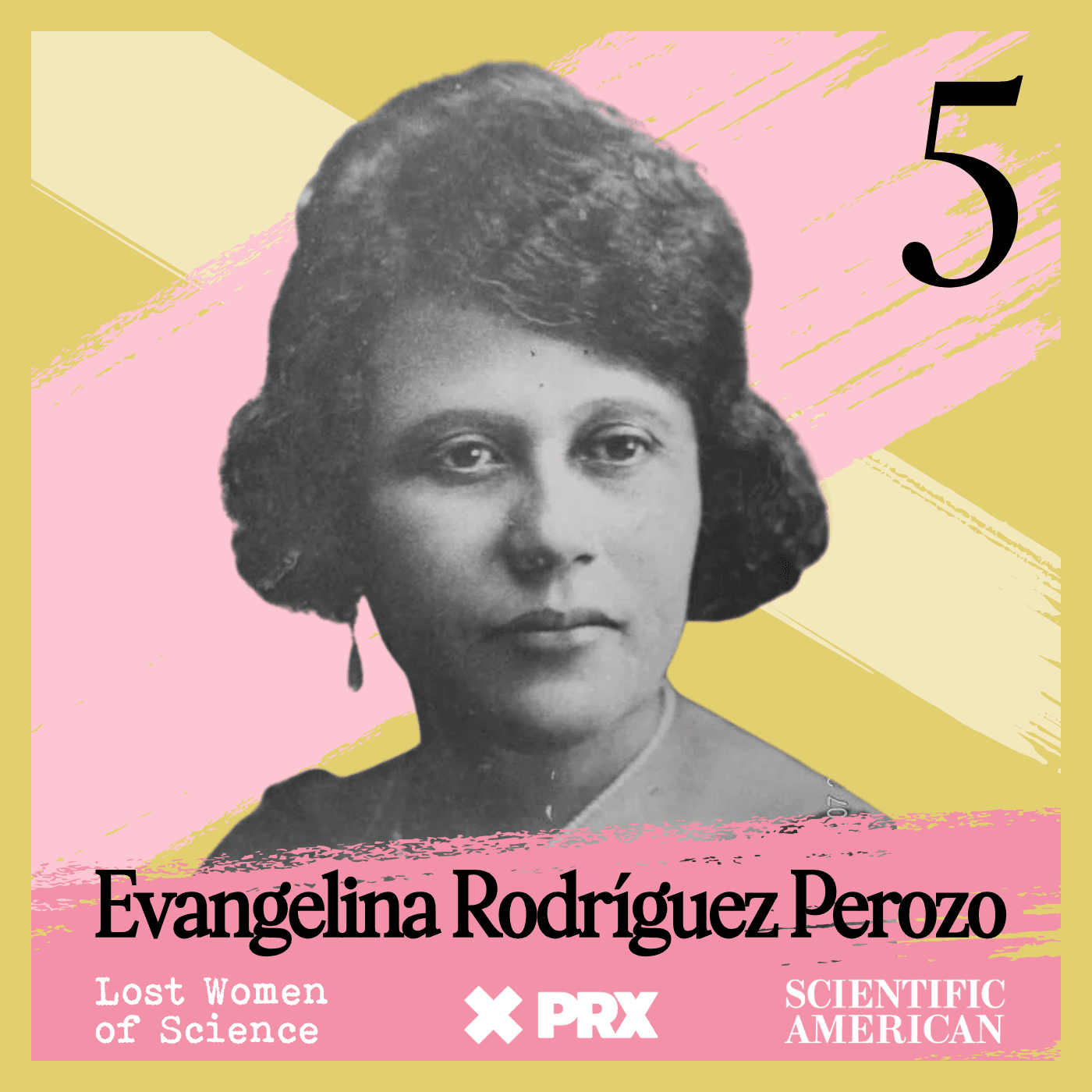 Thumbnail for "In Evangelina's Footsteps | 5". Thumbnail for "In Evangelina's Footsteps | 5".