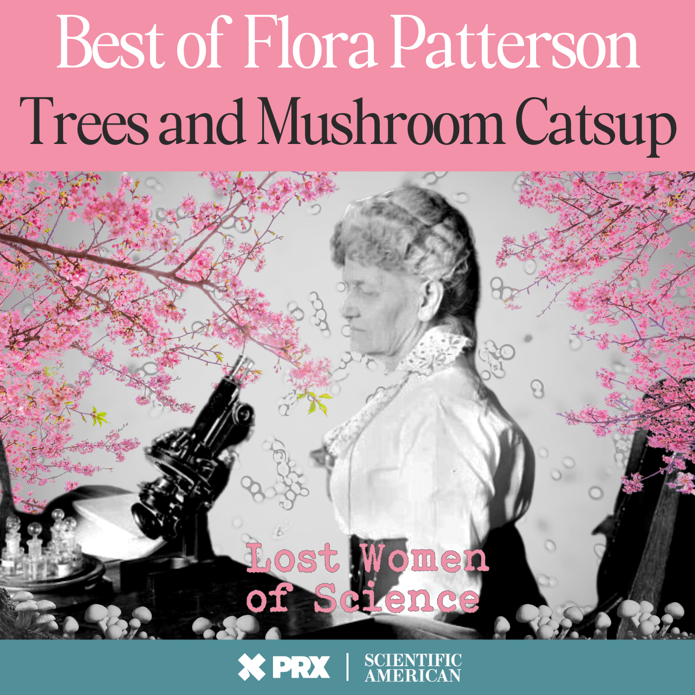 Thumbnail for "Best Of: Flora Patterson, the Woman who Kept Devastating Blights from U.S. Shores". Thumbnail for "Best Of: Flora Patterson, the Woman who Kept Devastating Blights from U.S. Shores".