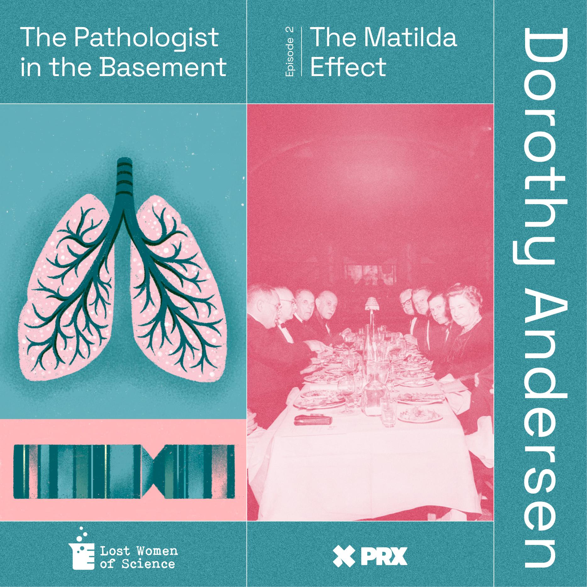 Thumbnail for "Revisiting the Pathologist in the Basement: Episode 2 The Matilda Effect". Thumbnail for "Revisiting the Pathologist in the Basement: Episode 2 The Matilda Effect".
