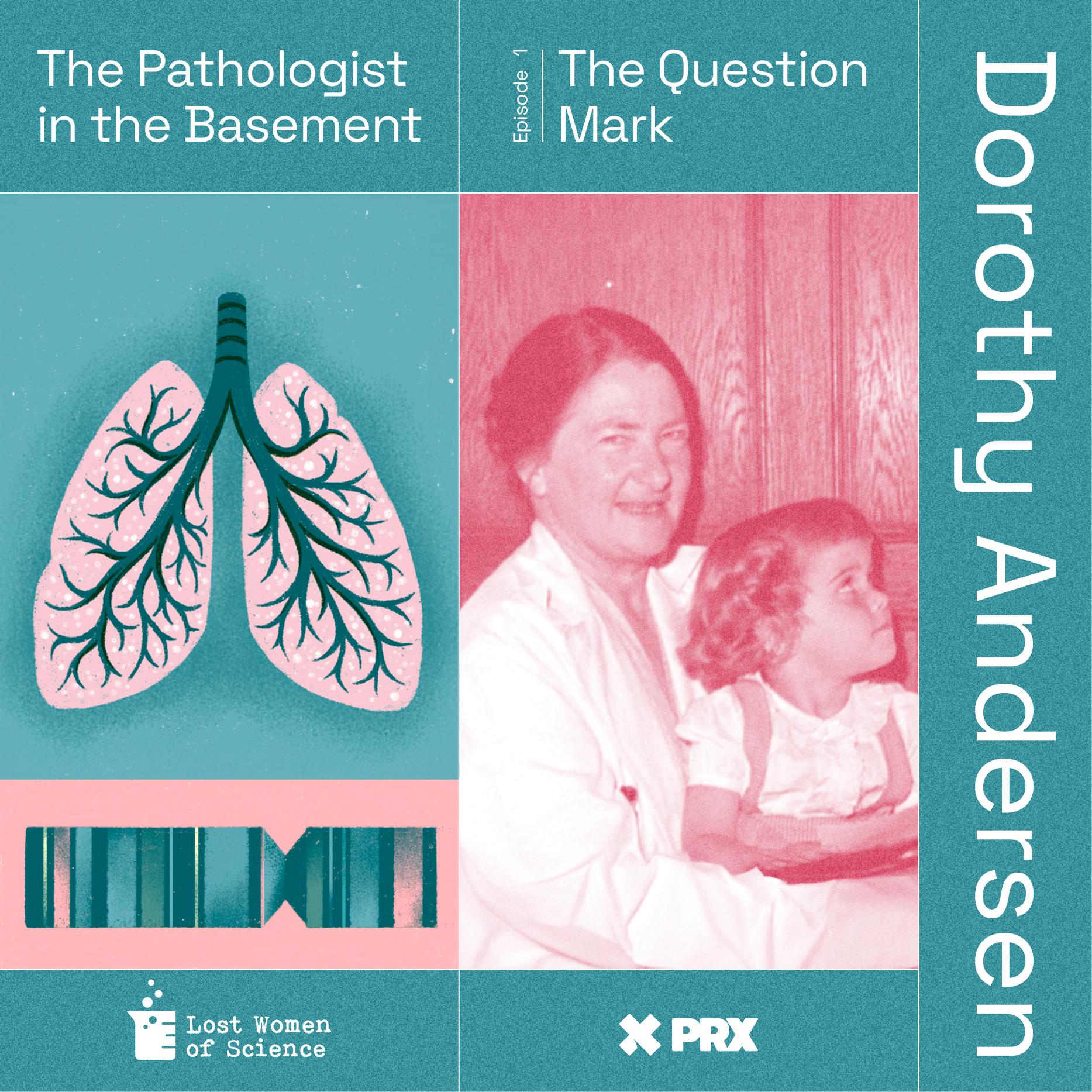 Thumbnail for "Revisiting the Pathologist in the Basement ". Thumbnail for "Revisiting the Pathologist in the Basement ".
