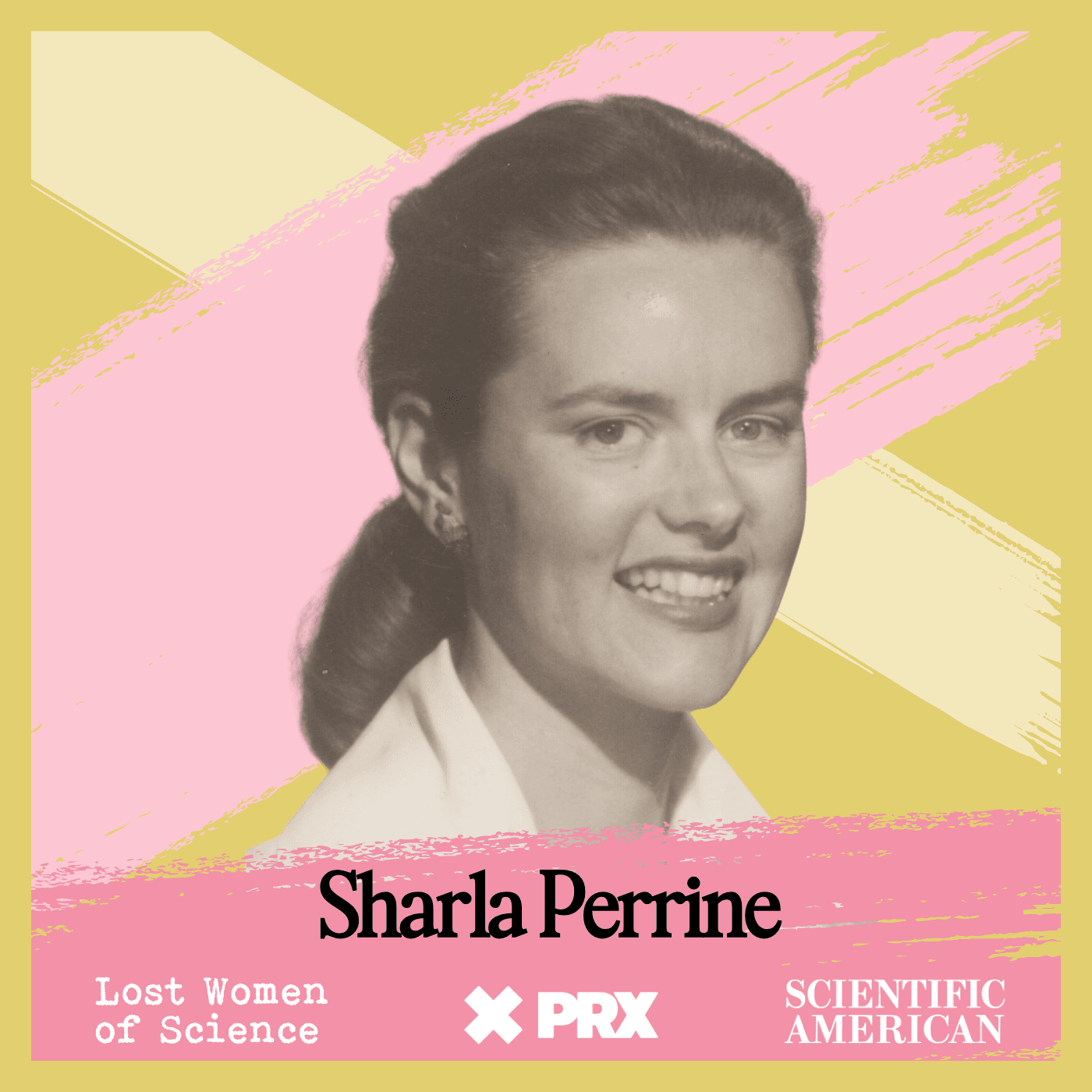 Thumbnail for "Sharla Boehm: The Programmer Whose Code Underpins the Internet". Thumbnail for "Sharla Boehm: The Programmer Whose Code Underpins the Internet".