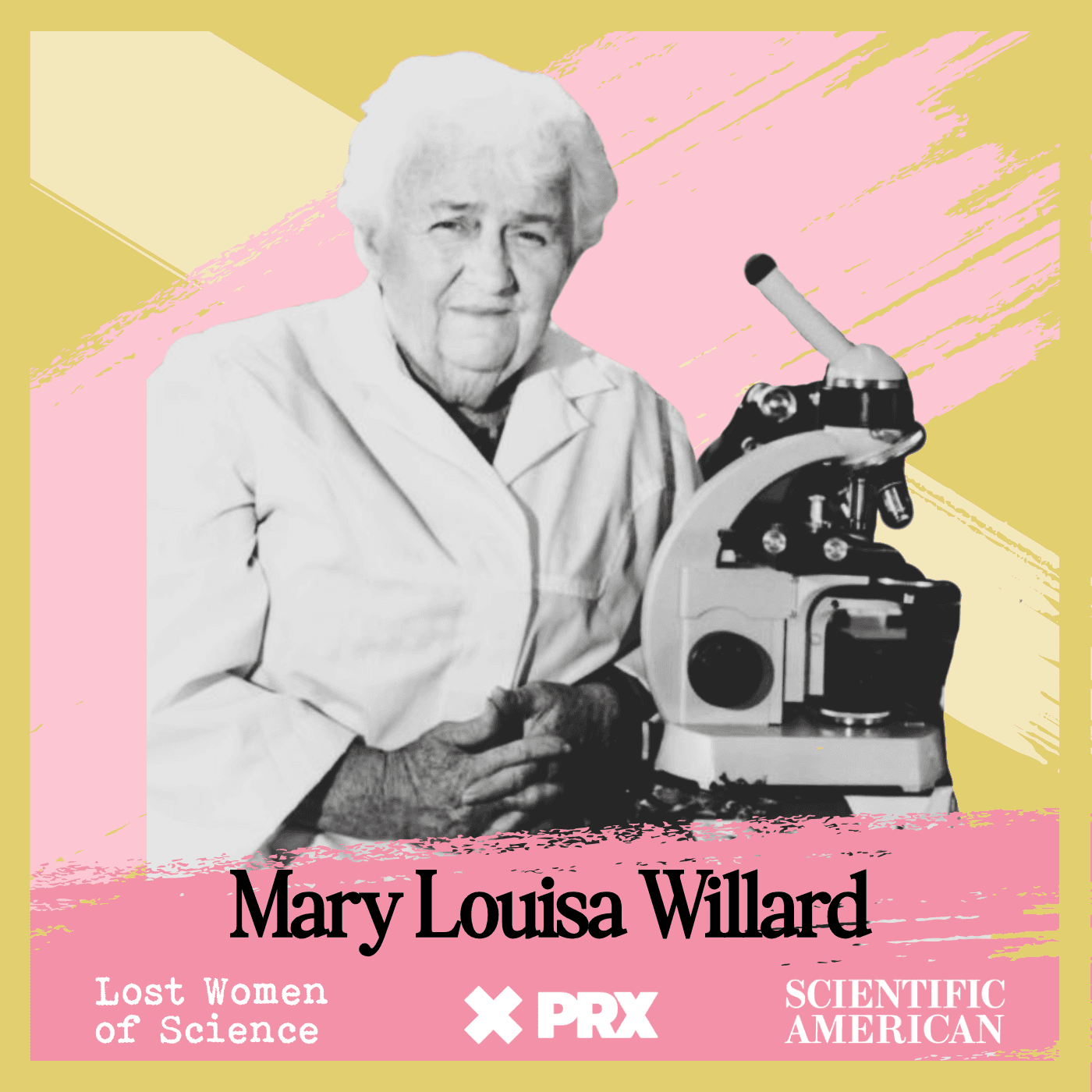 Thumbnail for "Best Of: Chemistry Professor and Crime Buster: The Remarkable Life of Mary Louisa Willard". Thumbnail for "Best Of: Chemistry Professor and Crime Buster: The Remarkable Life of Mary Louisa Willard".
