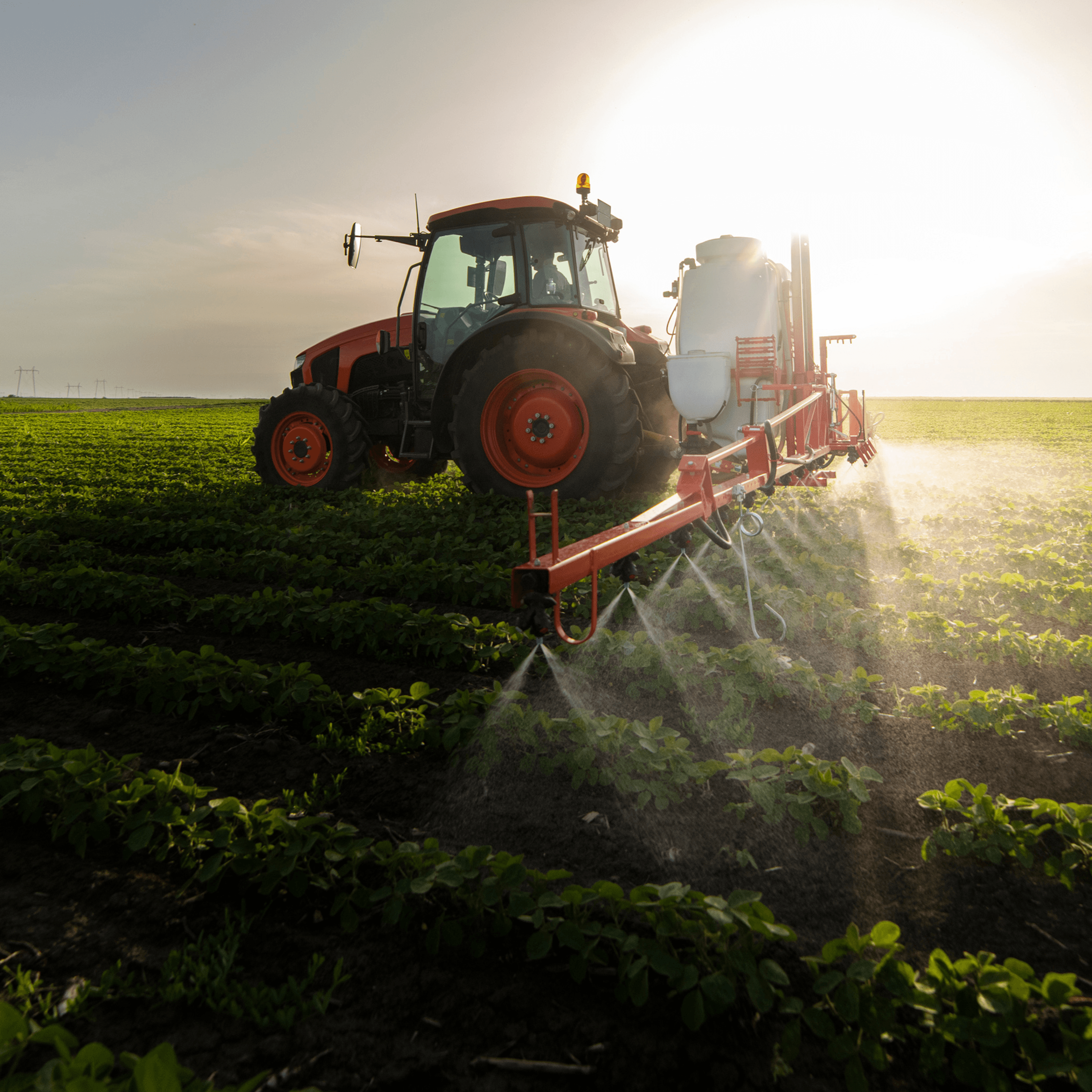 Thumbnail for "S6:E4 AI & Agriculture: Data-Driven Fields, Resilient Futures". Thumbnail for "S6:E4 AI & Agriculture: Data-Driven Fields, Resilient Futures".