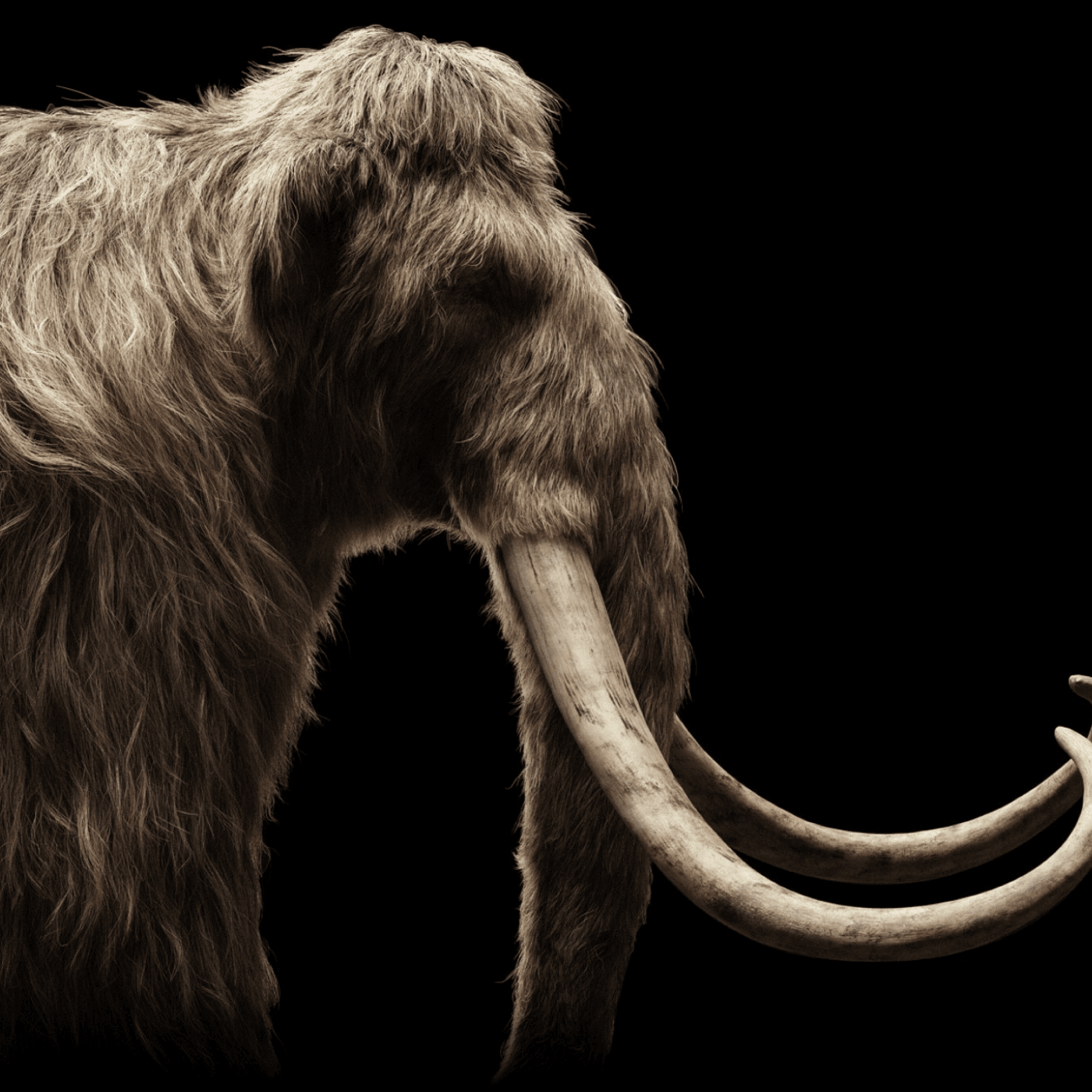 Thumbnail for "S3:EP2 CRISPR, Dodo Birds, Woolly Mammoths & Gene Editing". Thumbnail for "S3:EP2 CRISPR, Dodo Birds, Woolly Mammoths & Gene Editing".