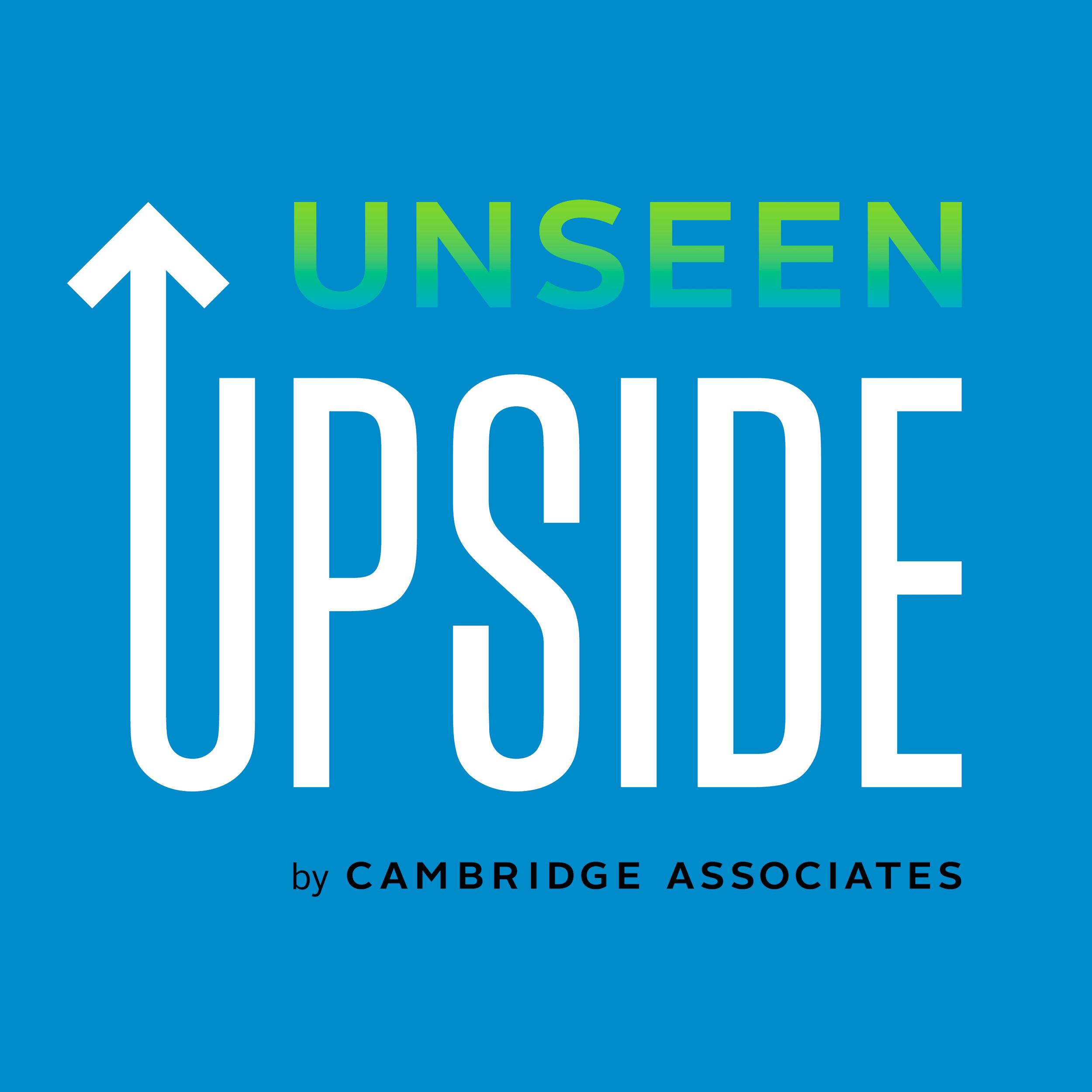 Logo for Unseen Upside: Investments Beyond Their Returns