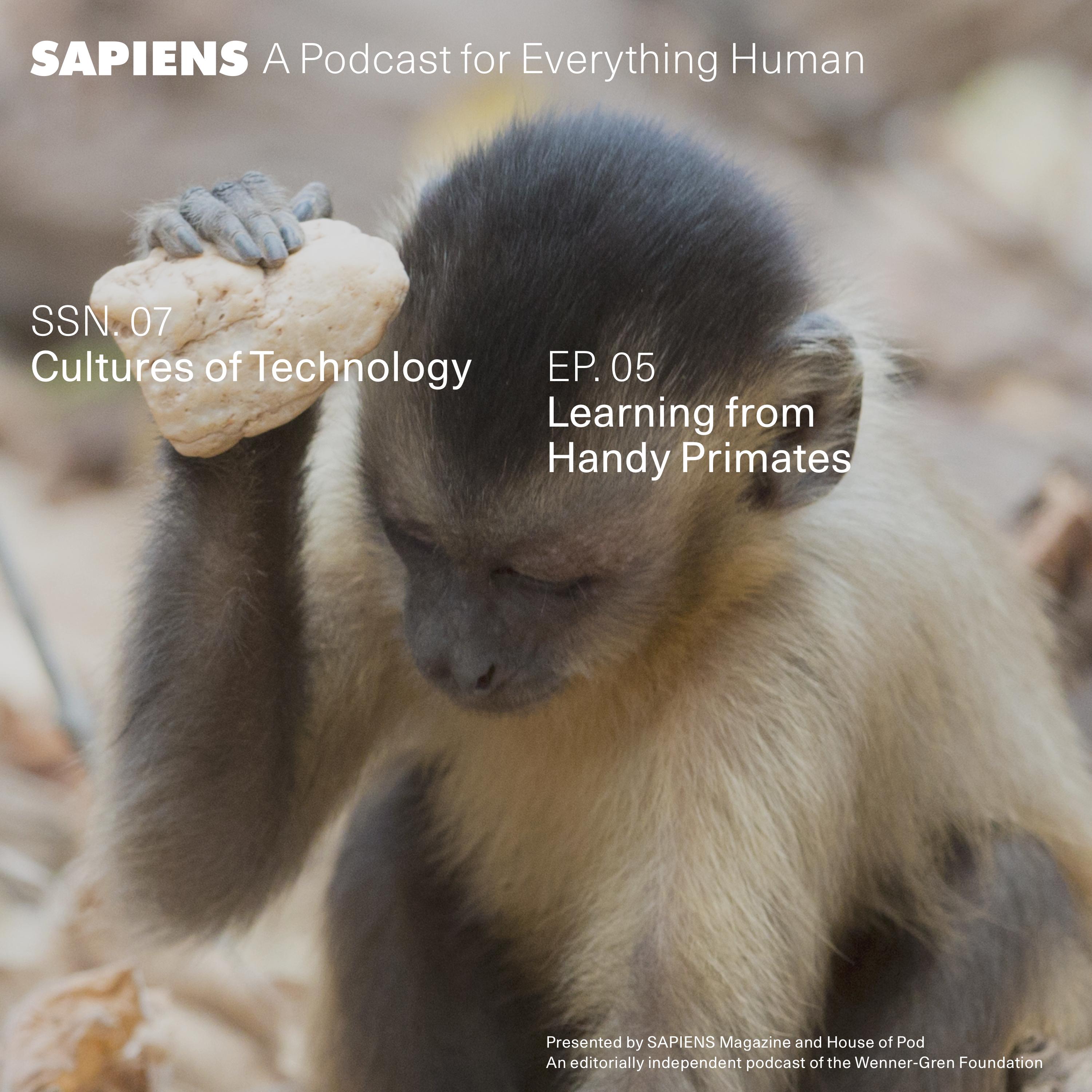 Thumbnail for "Learning from Handy Primates". Thumbnail for "Learning from Handy Primates".