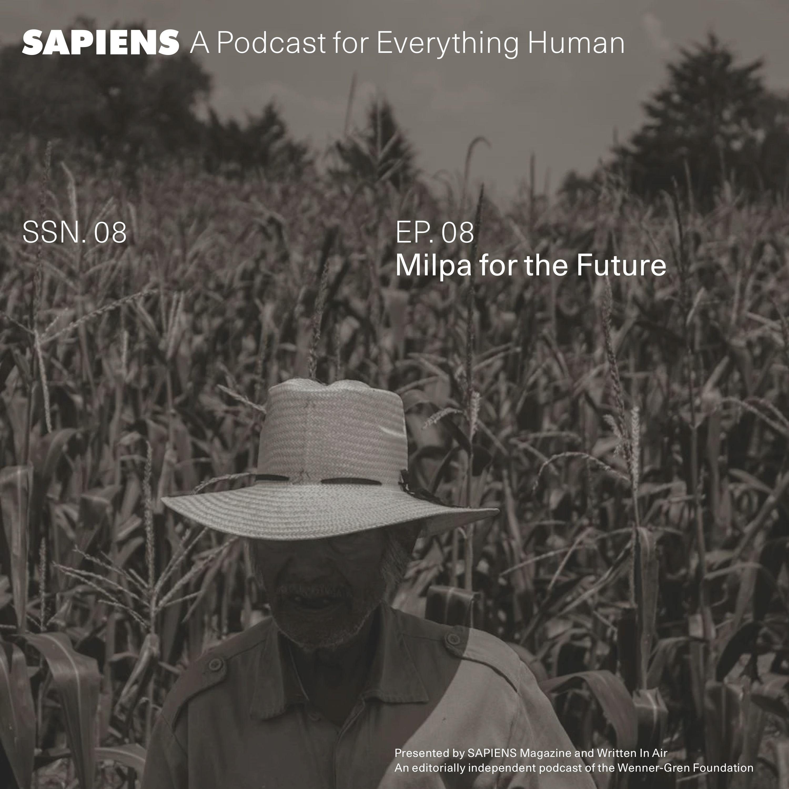 Thumbnail for "Milpa for the Future". Thumbnail for "Milpa for the Future".