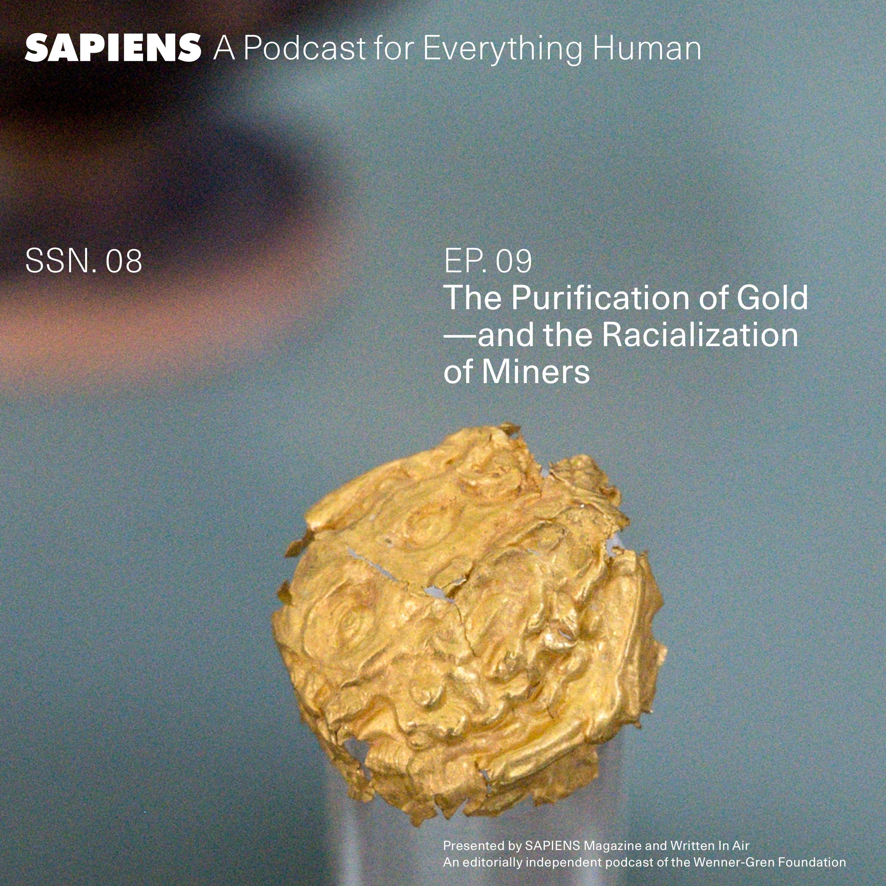 Thumbnail for "The Purification of Gold—and the Racialization of Miners". Thumbnail for "The Purification of Gold—and the Racialization of Miners".