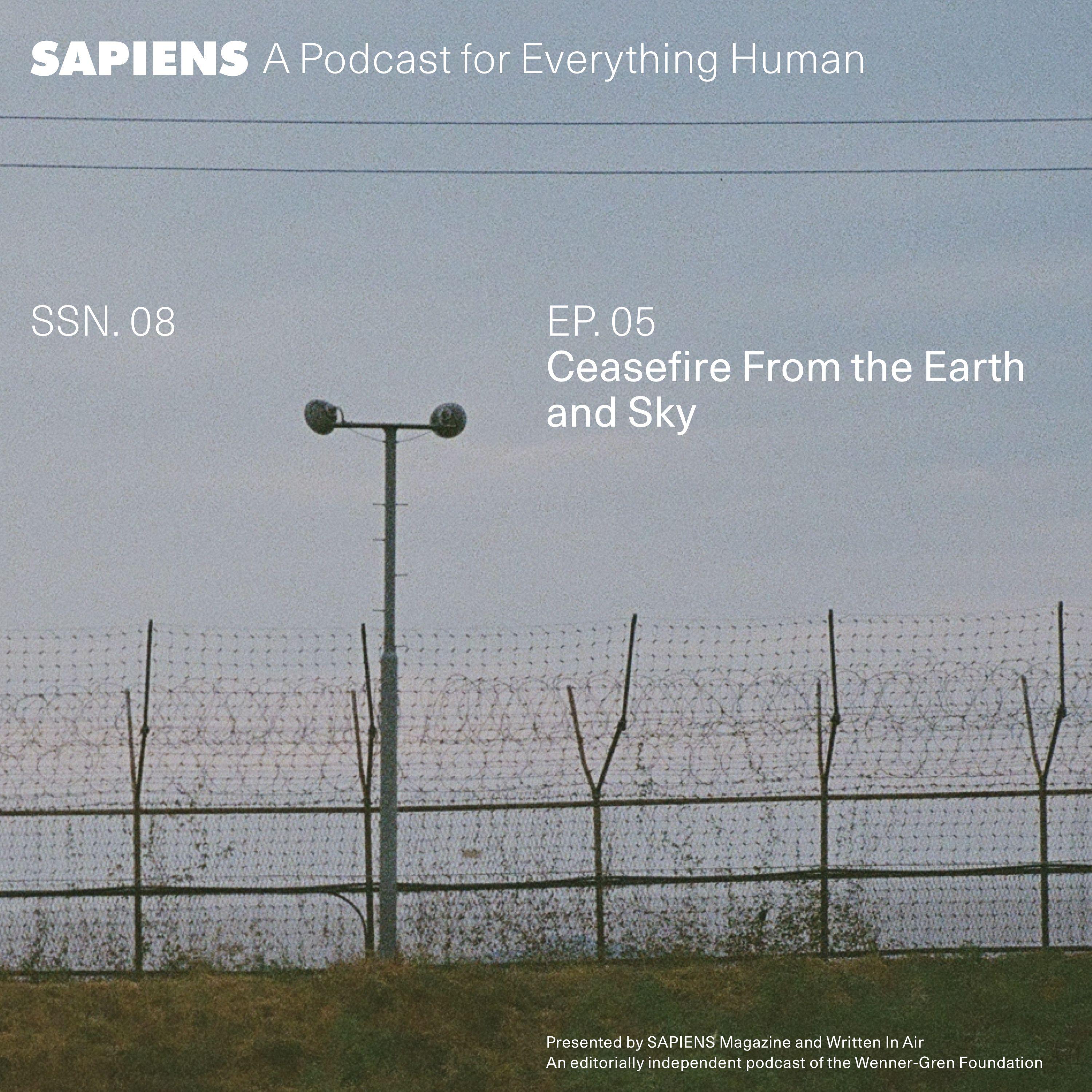 Thumbnail for "Ceasefire From the Earth and Sky". Thumbnail for "Ceasefire From the Earth and Sky".