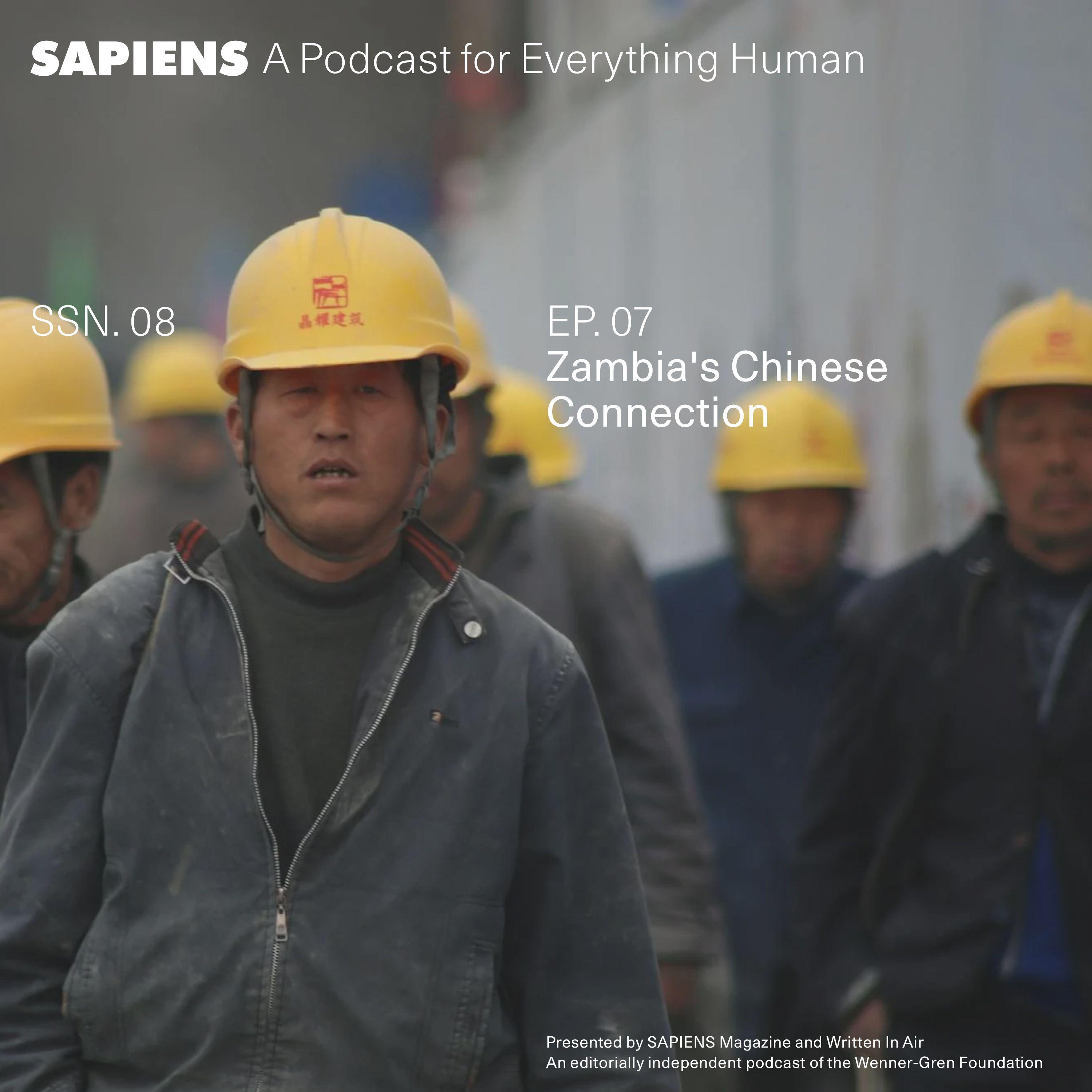 Thumbnail for "Zambia’s Chinese Connection". Thumbnail for "Zambia’s Chinese Connection".