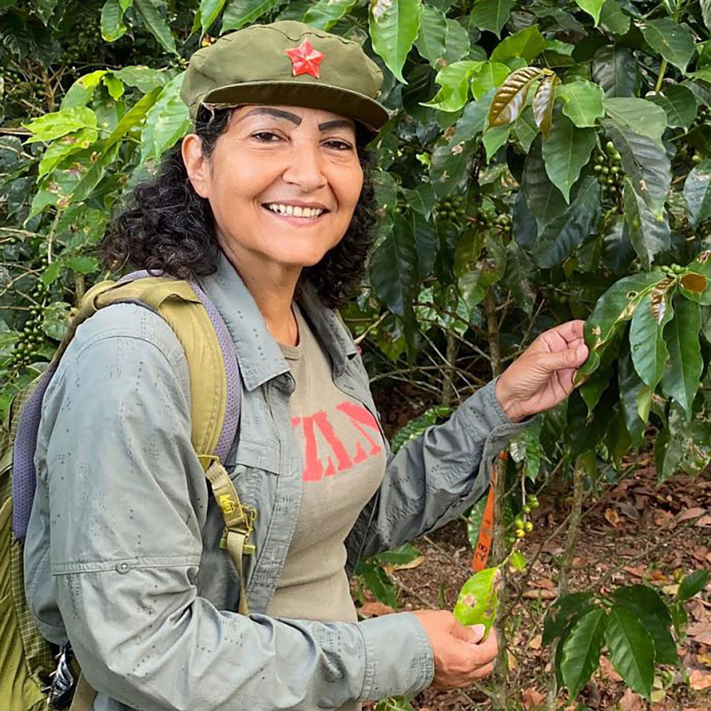 Thumbnail for "Biodiversity saves the coffee crop". Thumbnail for "Biodiversity saves the coffee crop".