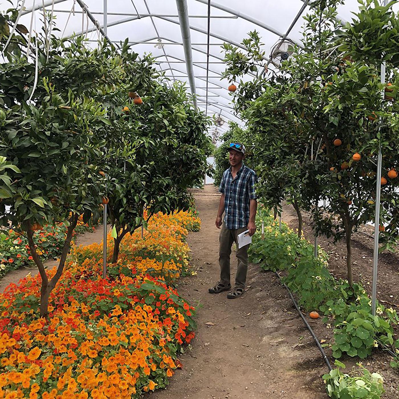 Thumbnail for "Farming for seeds". Thumbnail for "Farming for seeds".