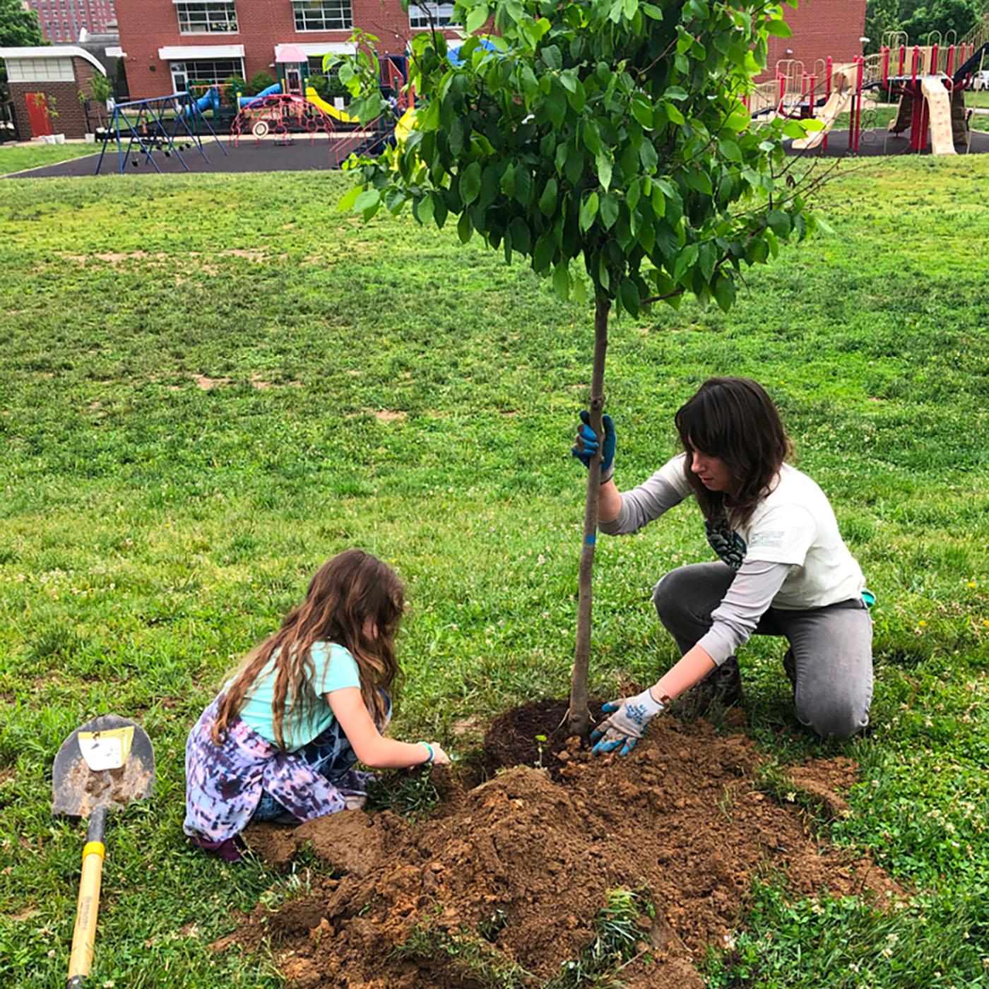 Thumbnail for "Planting trees for community resilience". Thumbnail for "Planting trees for community resilience".
