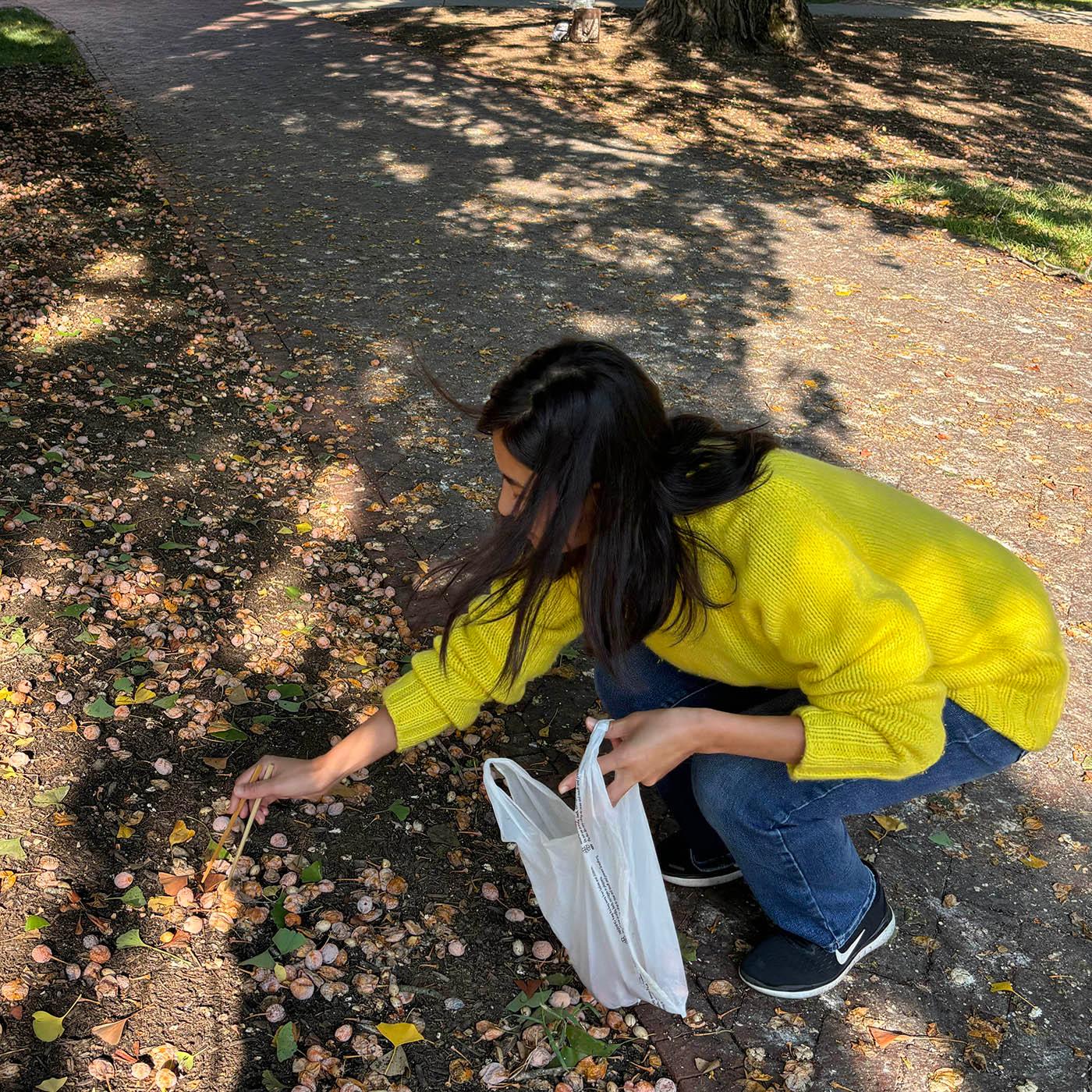 Thumbnail for "Eats Wild Episode 8: Nuts, beans, berries and orange globes–the trees share their bounty in the fall". Thumbnail for "Eats Wild Episode 8: Nuts, beans, berries and orange globes–the trees share their bounty in the fall".