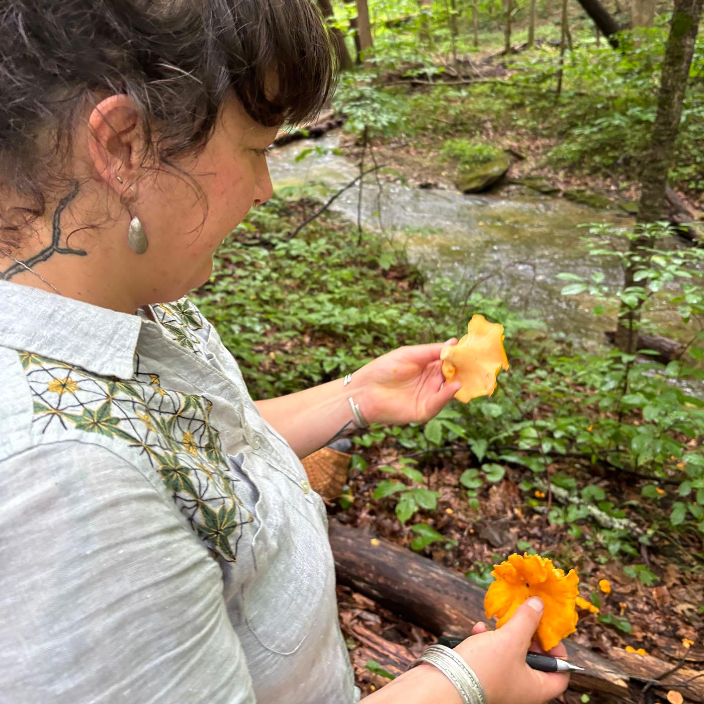 Thumbnail for "Eats Wild Episode 5: Foraging for flavor and for mental health". Thumbnail for "Eats Wild Episode 5: Foraging for flavor and for mental health".