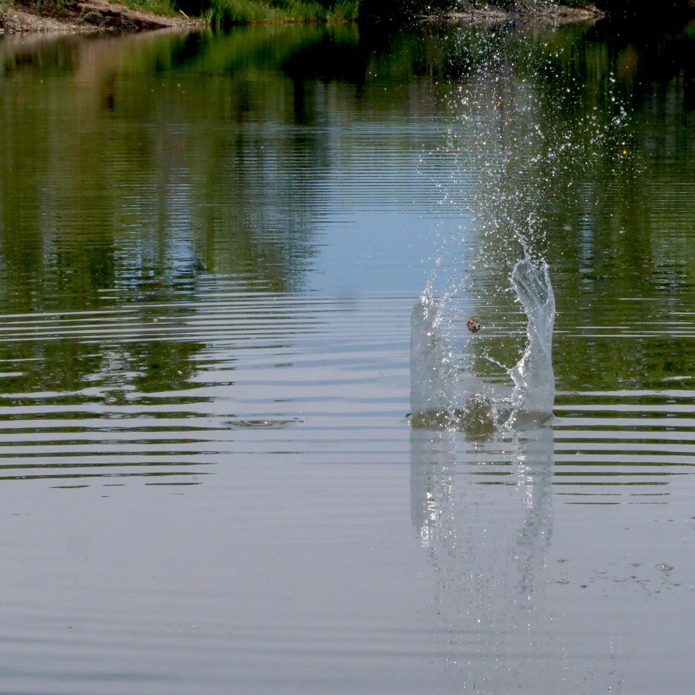 Thumbnail for "What Would Thoreau Do?". Thumbnail for "What Would Thoreau Do?".