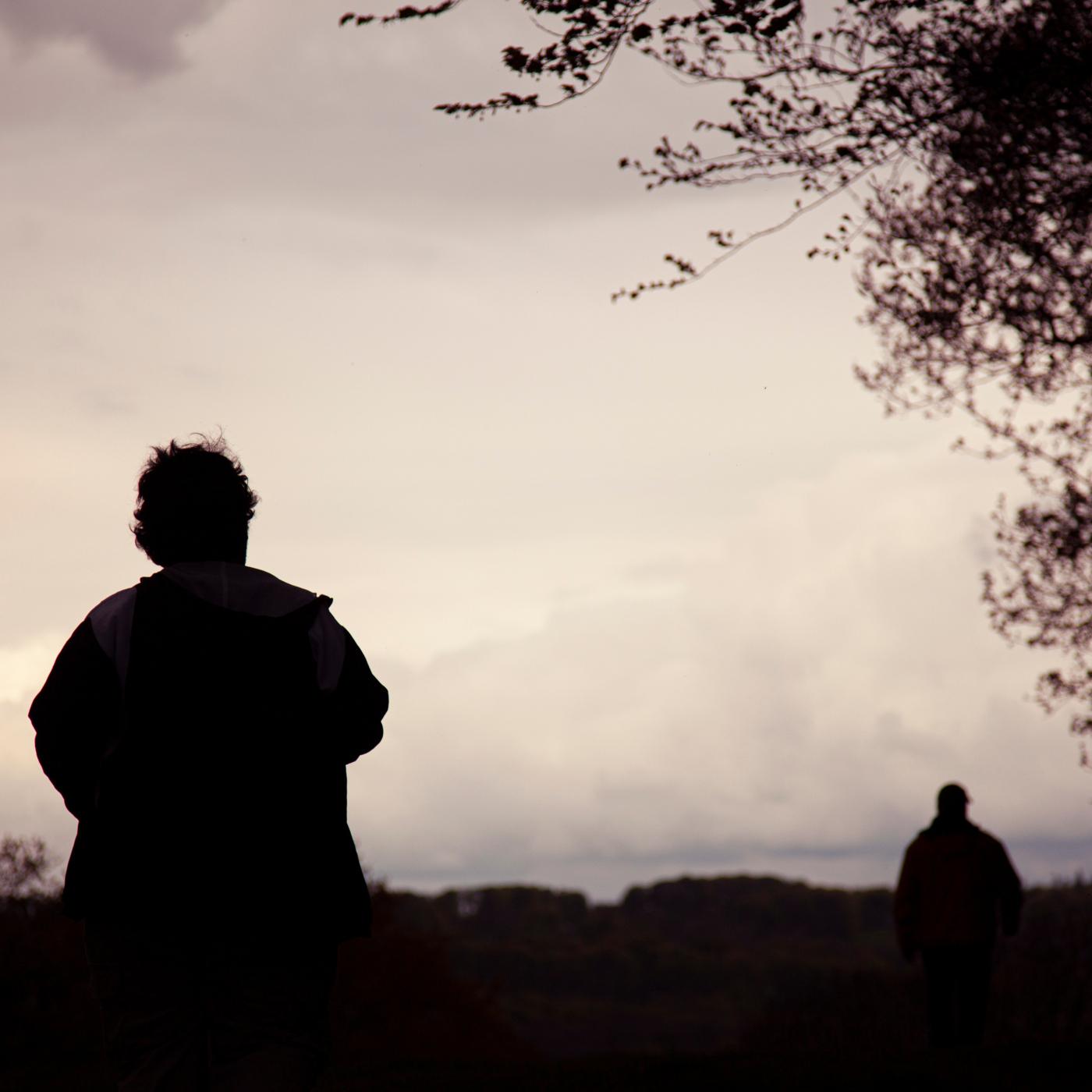 Thumbnail for "Love, I No Longer Recognize You". Thumbnail for "Love, I No Longer Recognize You".