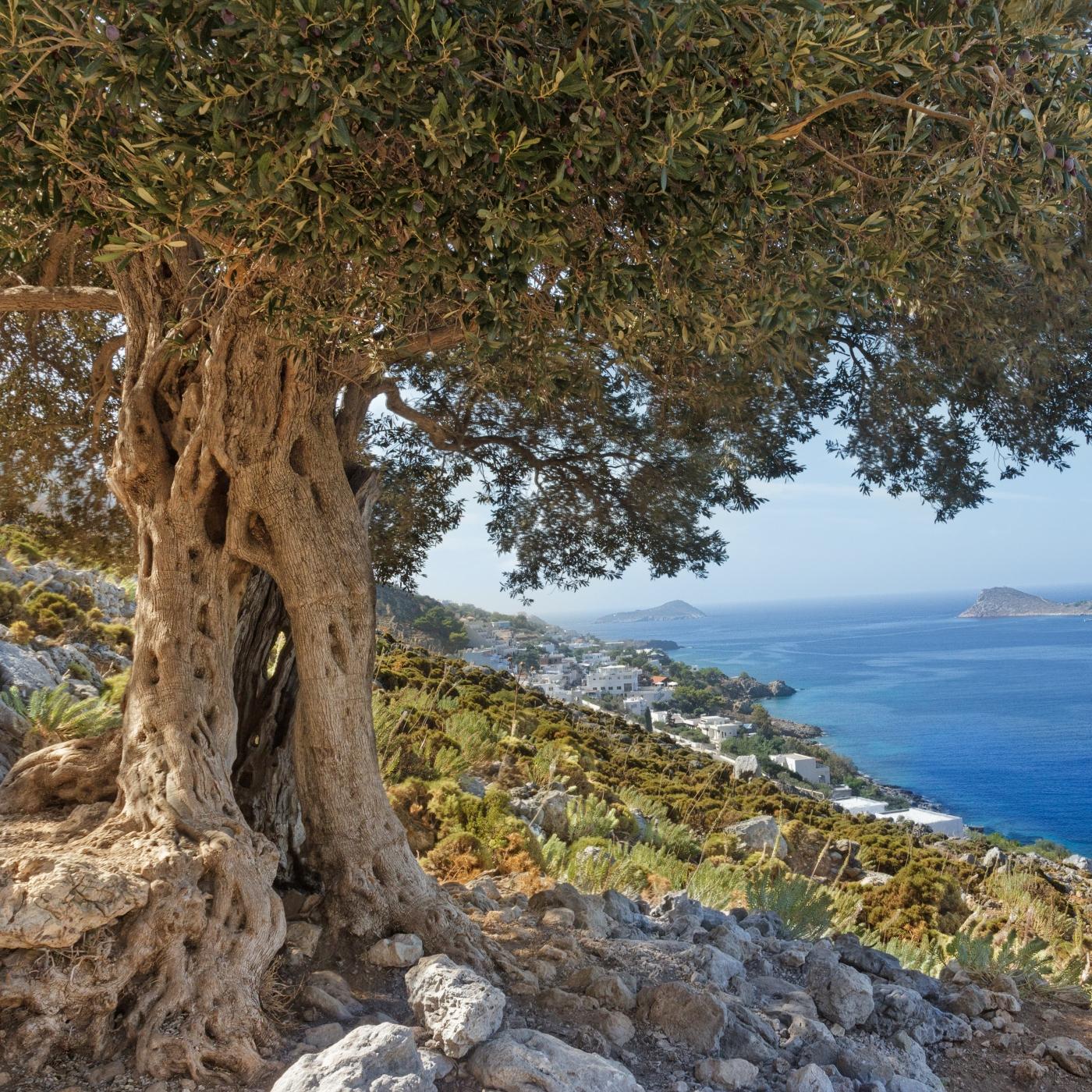 Thumbnail for "Helen -- After Troy". Thumbnail for "Helen -- After Troy".