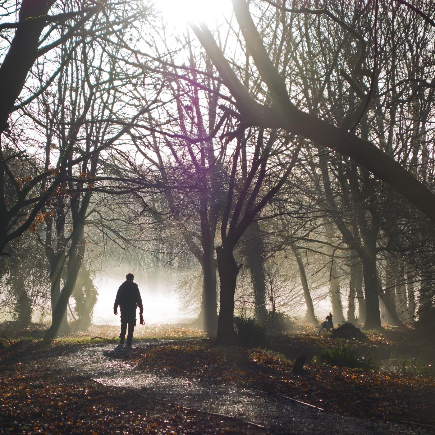 Thumbnail for "Day Light Savings Time". Thumbnail for "Day Light Savings Time".