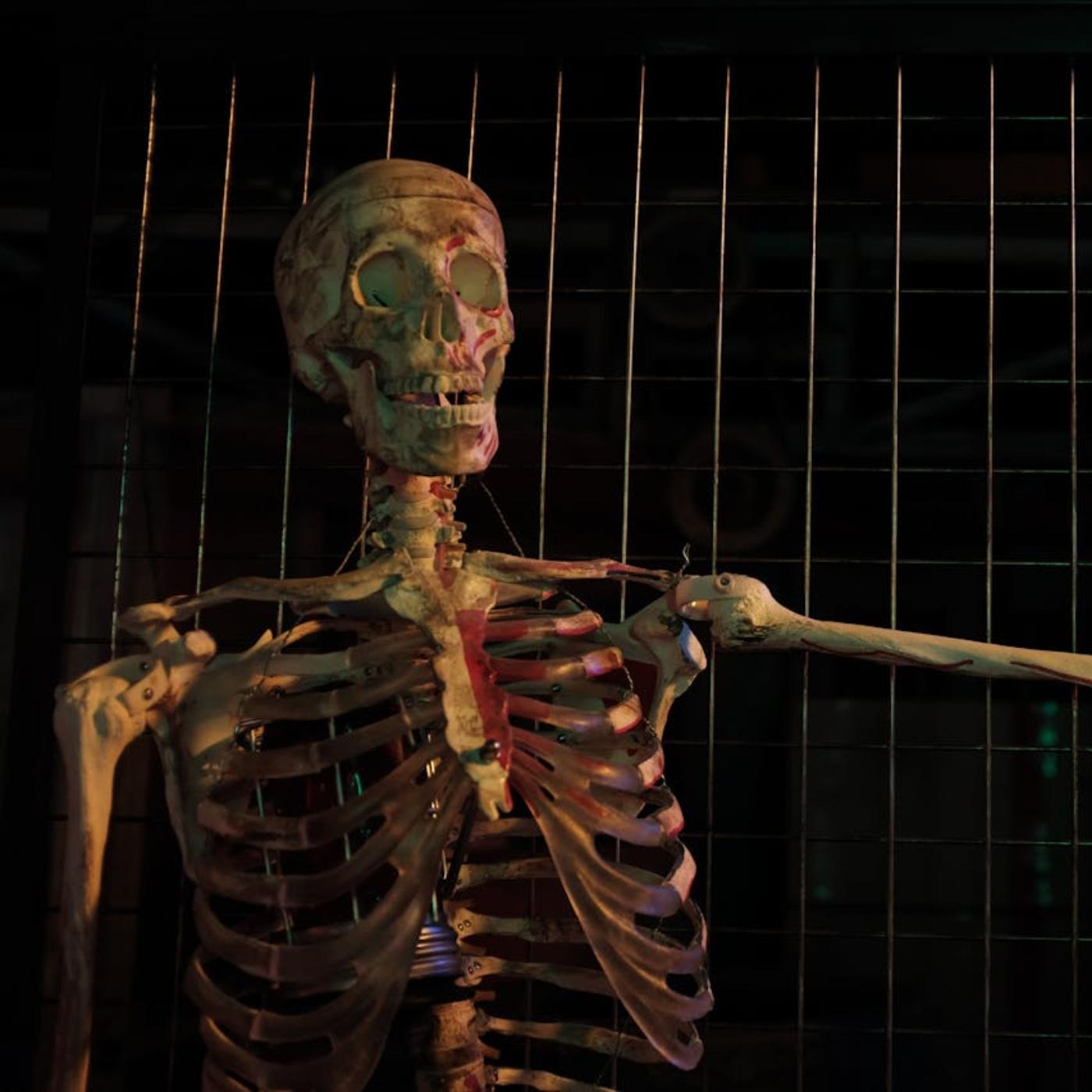 Thumbnail for "Skeleton Dance". Thumbnail for "Skeleton Dance".