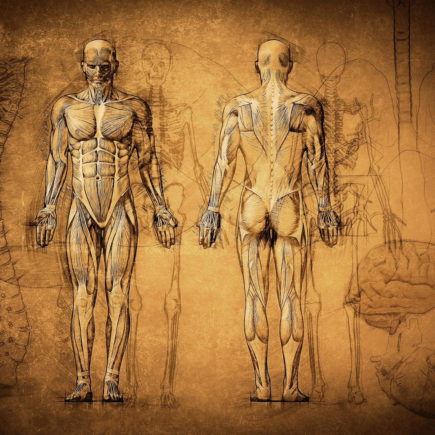 Thumbnail for "The Package". Thumbnail for "The Package".