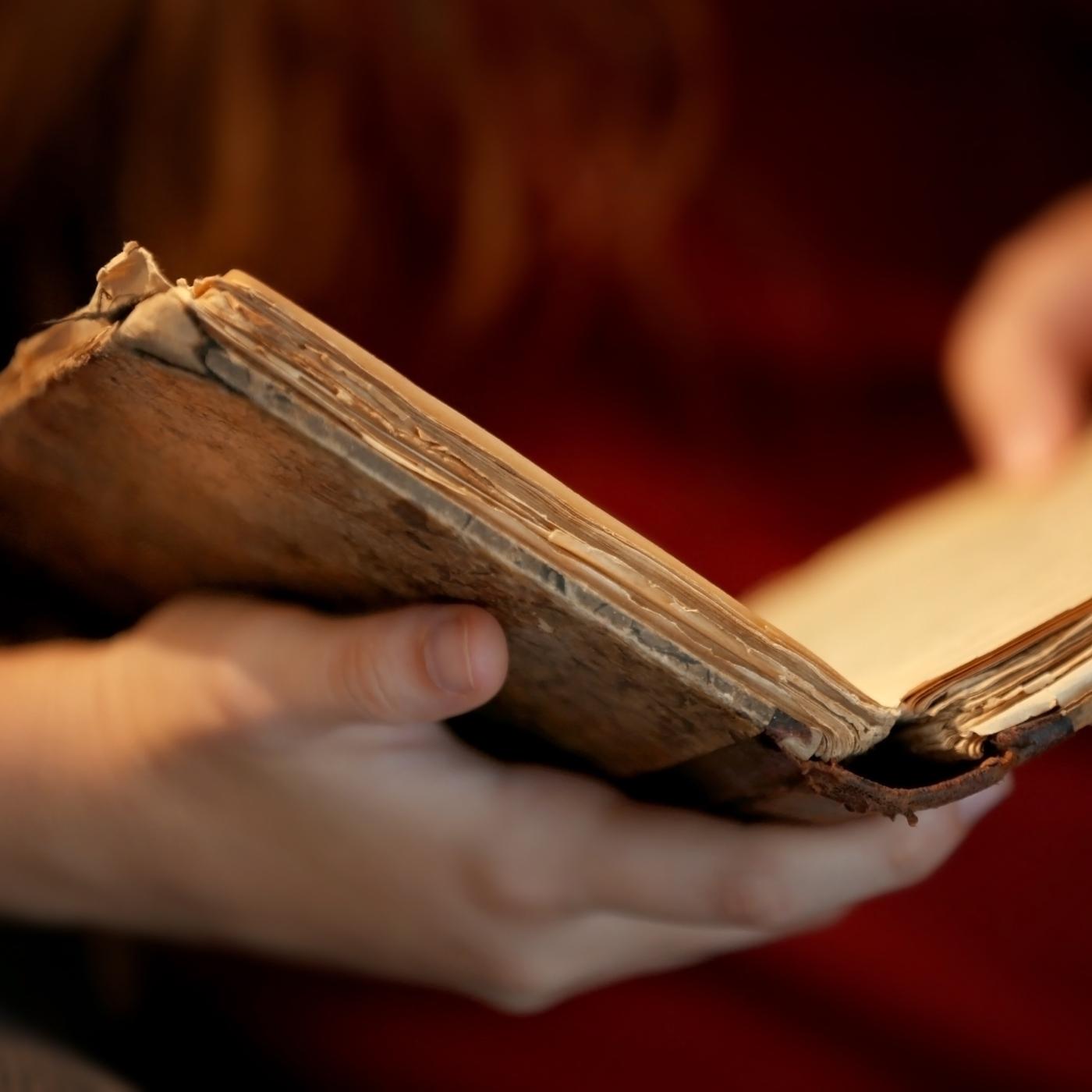 Thumbnail for "Curators of a Sort". Thumbnail for "Curators of a Sort".