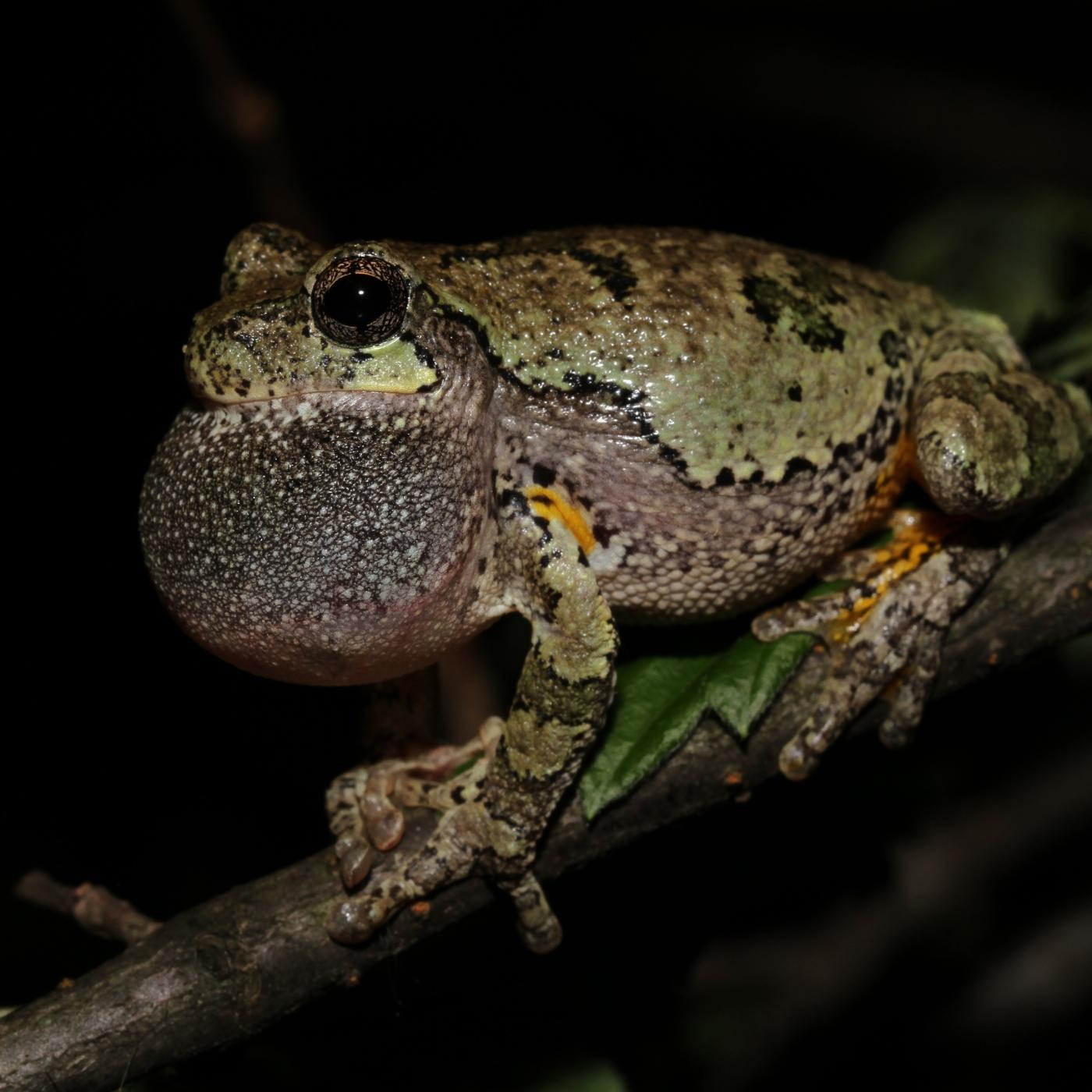 Thumbnail for "End of the Day". Thumbnail for "End of the Day".