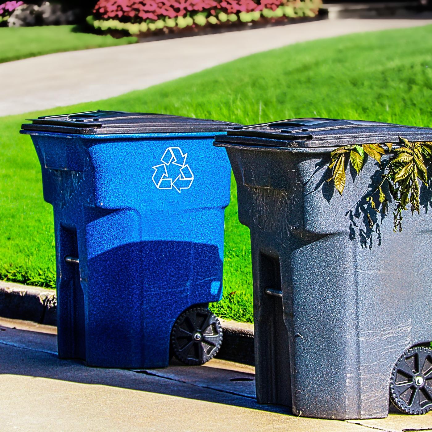 Thumbnail for "Our Solemn Debris". Thumbnail for "Our Solemn Debris".