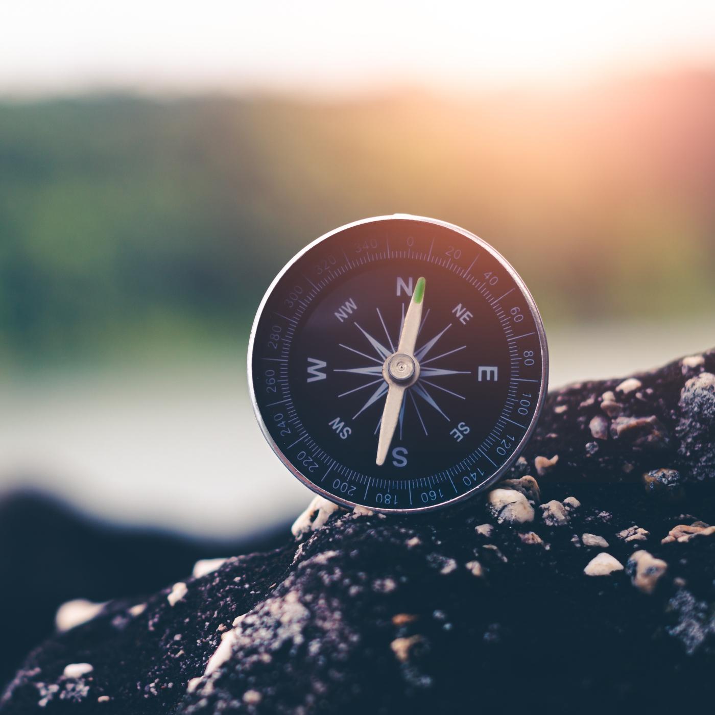 Thumbnail for "Without Compass". Thumbnail for "Without Compass".