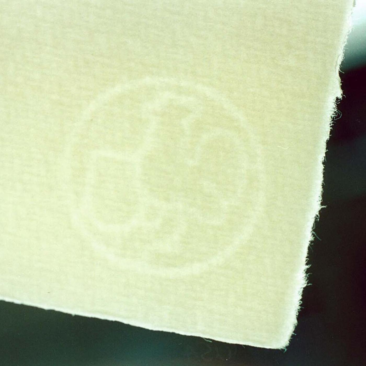 Thumbnail for "Watermark". Thumbnail for "Watermark".