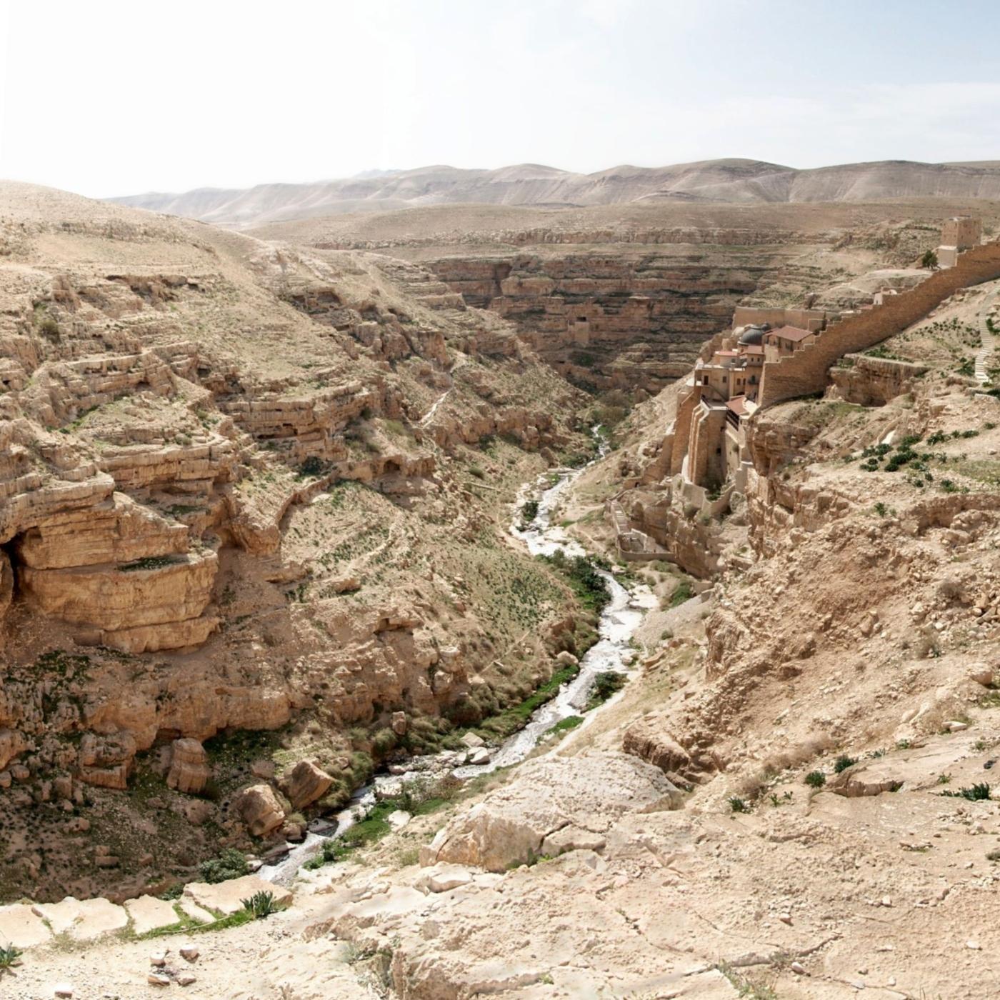 Thumbnail for "The Promised Wasteland". Thumbnail for "The Promised Wasteland".