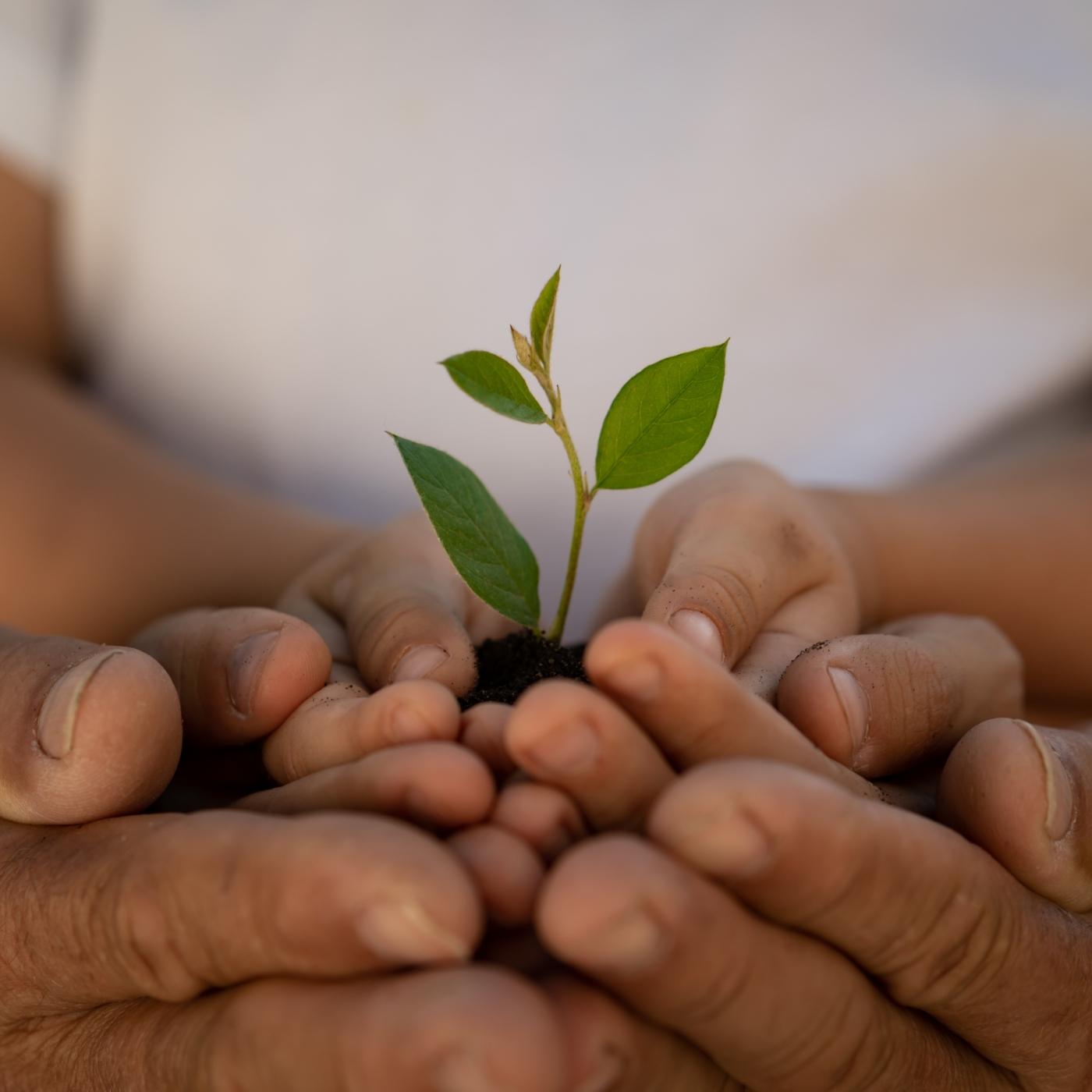 Thumbnail for "Seven Gen". Thumbnail for "Seven Gen".