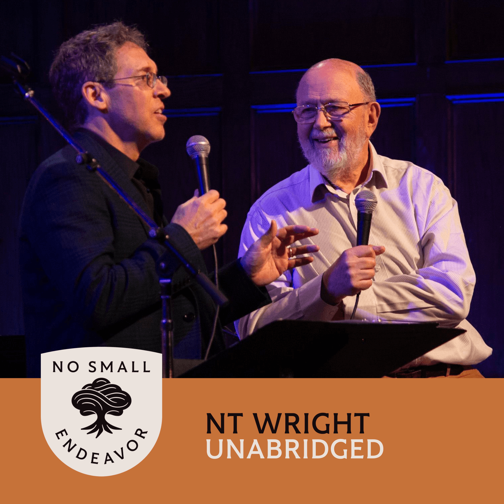 Thumbnail for "132: Unabridged Interview: N.T. Wright". Thumbnail for "132: Unabridged Interview: N.T. Wright".