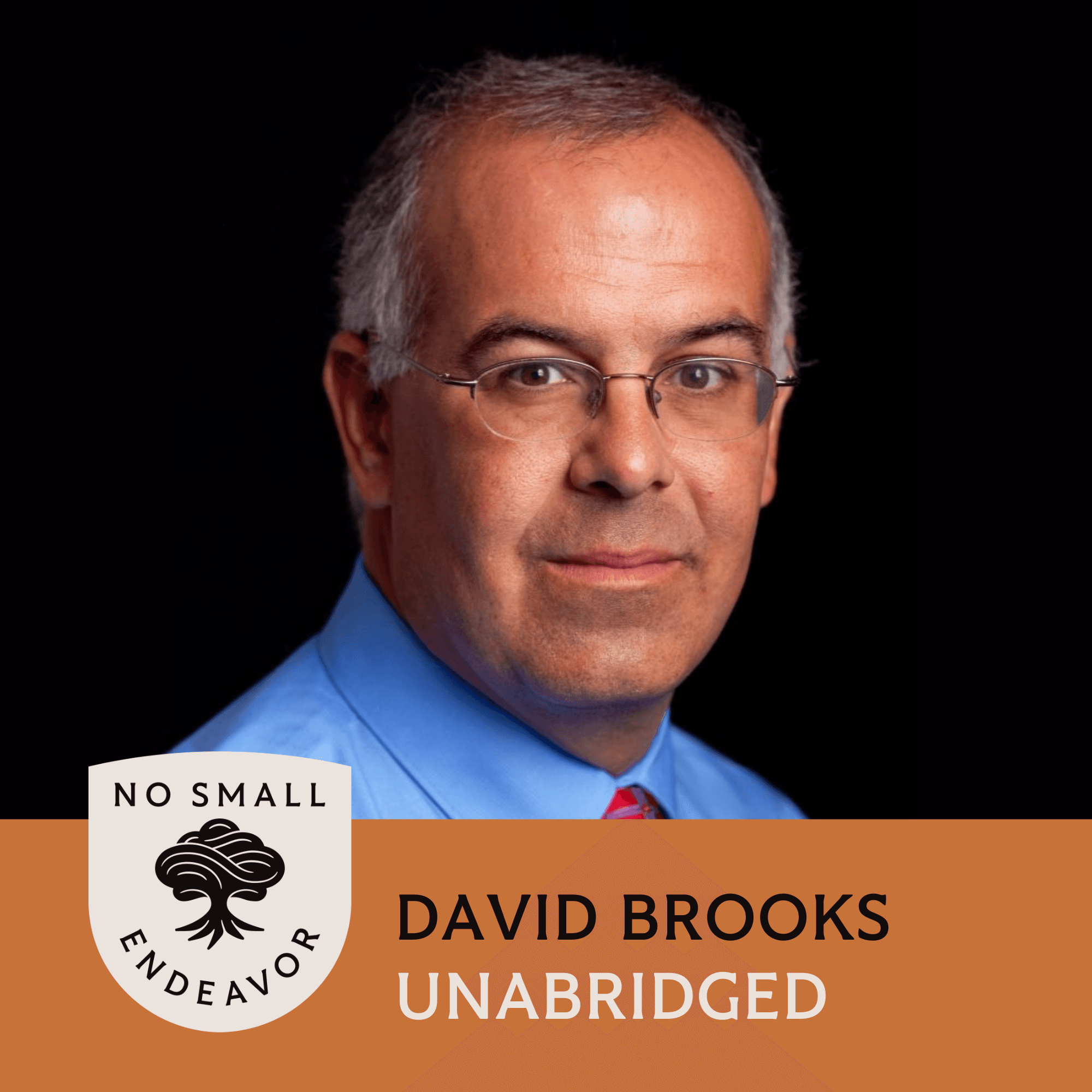 Thumbnail for "141: Unabridged Interview: David Brooks". Thumbnail for "141: Unabridged Interview: David Brooks".