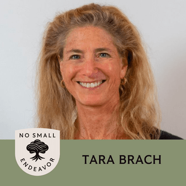 Tara Brach: Radical Acceptance