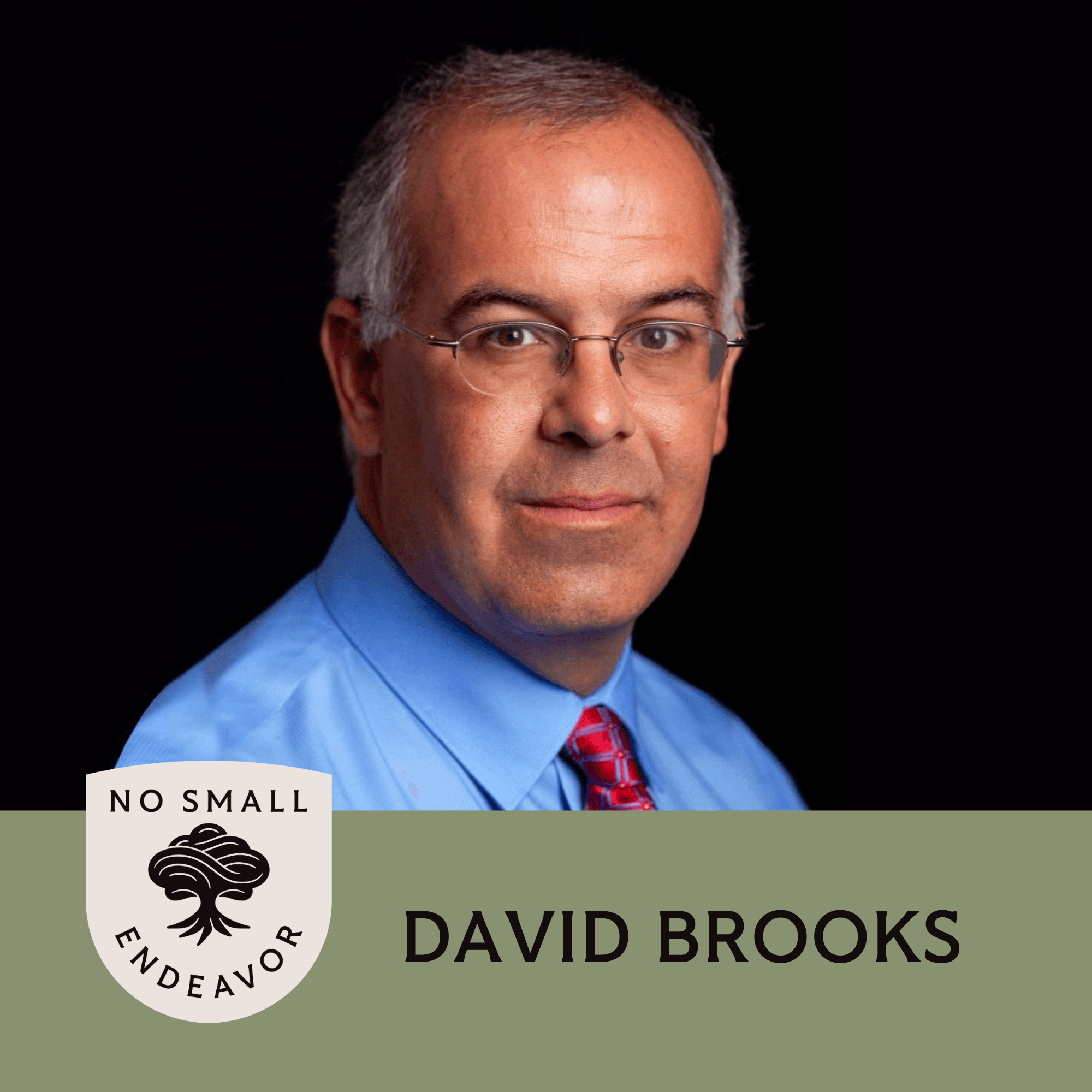 Thumbnail for "141: David Brooks: Can We Save Society By Knowing Each Other?". Thumbnail for "141: David Brooks: Can We Save Society By Knowing Each Other?".