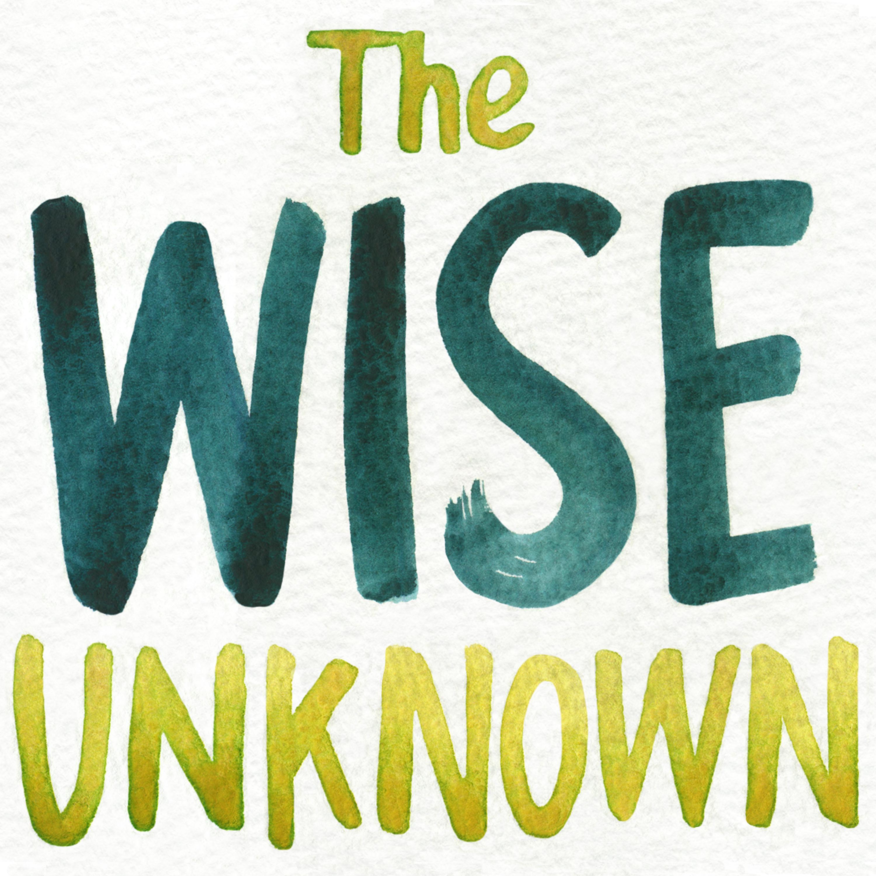 Thumbnail for "Introducing 'The Wise Unknown'".