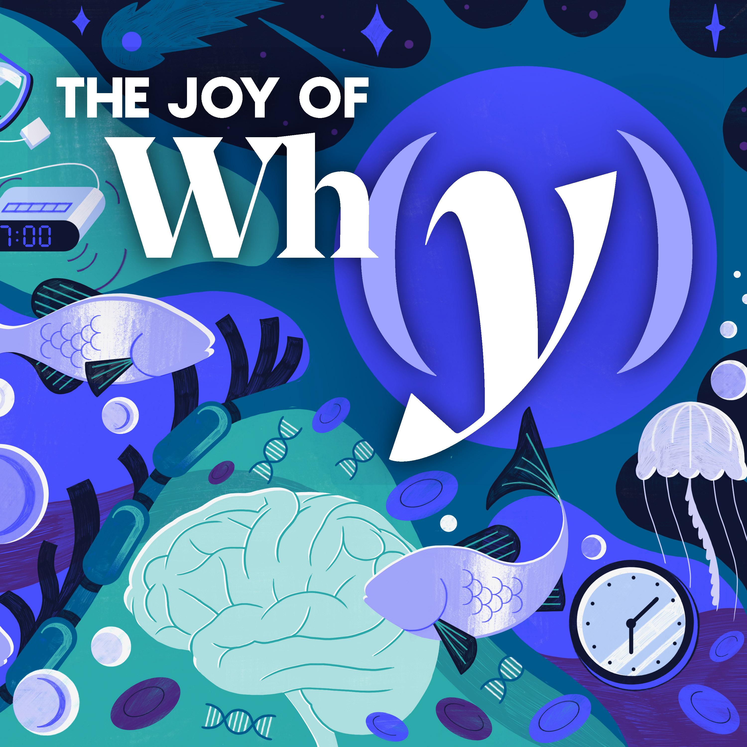 Thumbnail for "Why Do We Die Without Sleep?". Thumbnail for "Why Do We Die Without Sleep?".