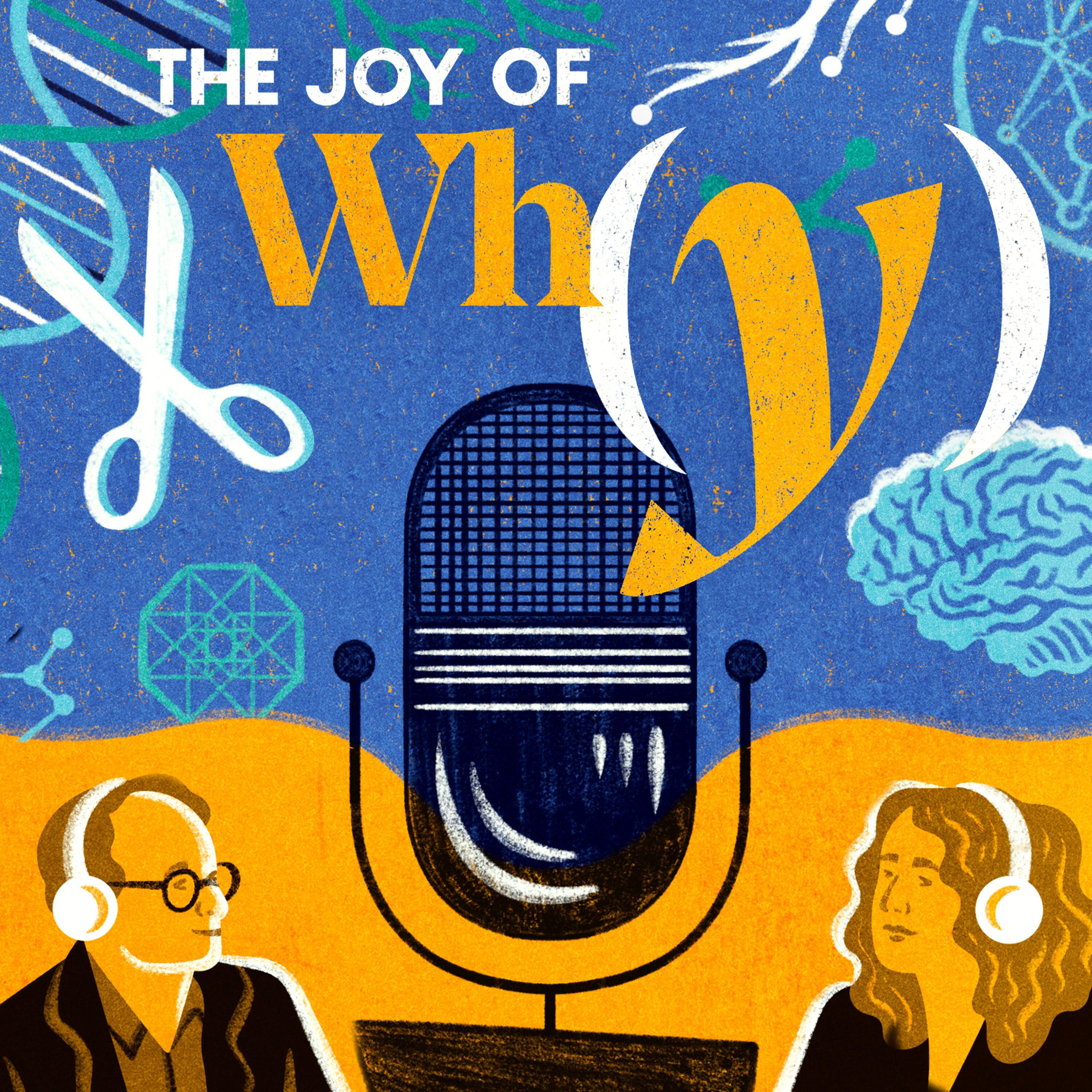 Thumbnail for "More Conversations, Complex Questions, and Bold Ideas in Season Five of ‘The Joy of Why’". Thumbnail for "More Conversations, Complex Questions, and Bold Ideas in Season Five of ‘The Joy of Why’".