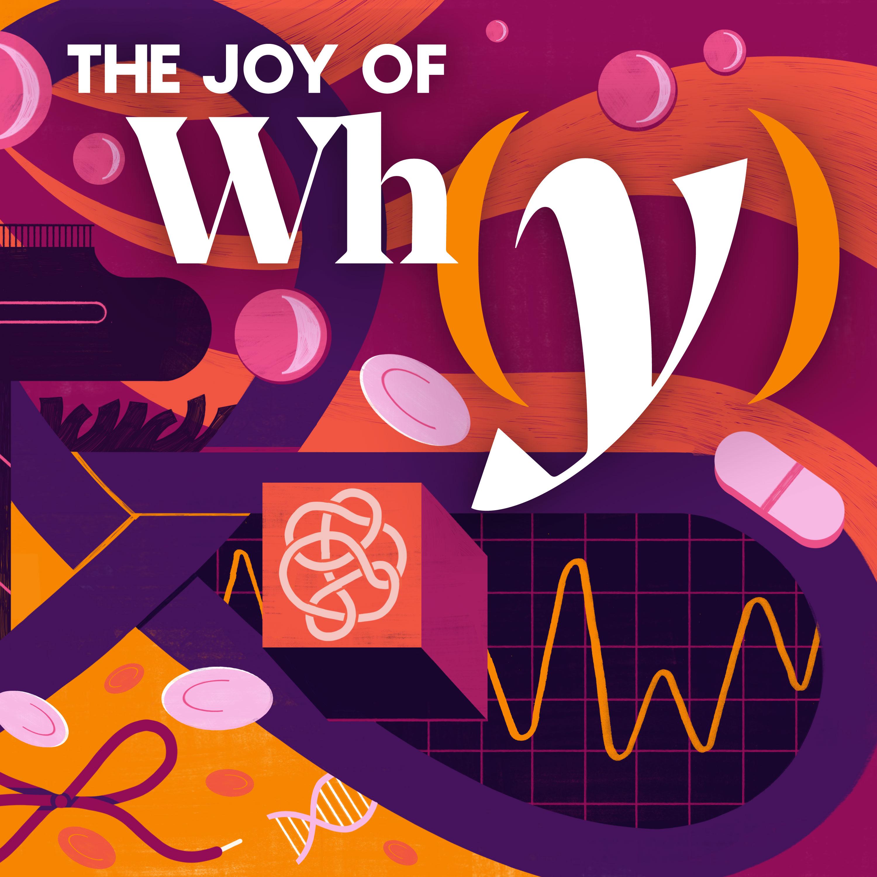 Thumbnail for "Untangling Why Knots Are Important". Thumbnail for "Untangling Why Knots Are Important".