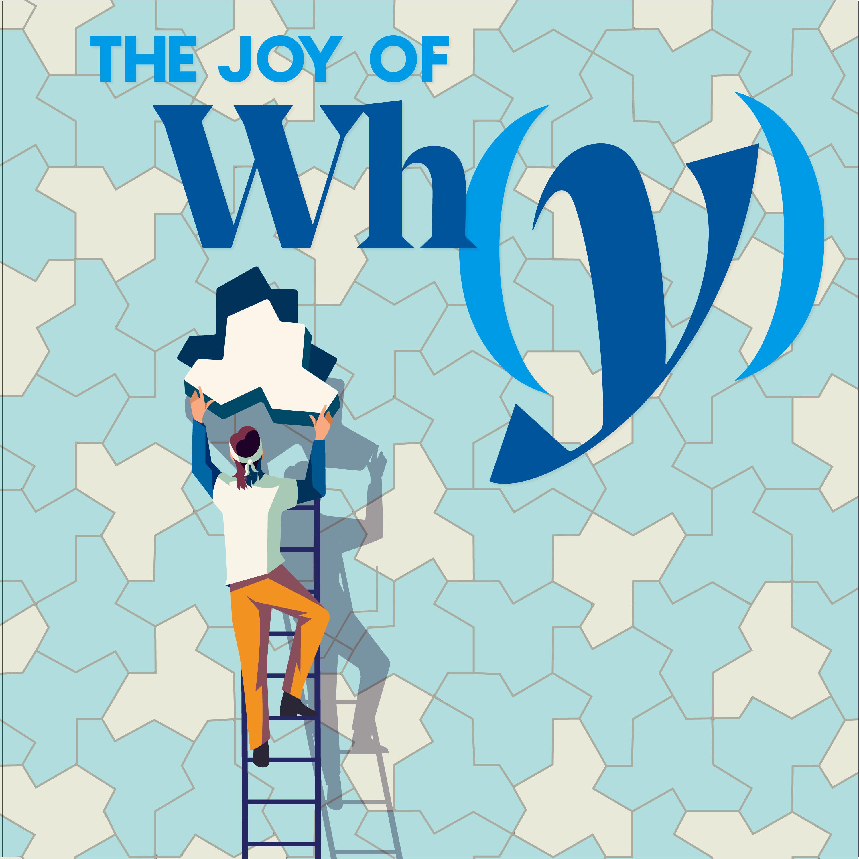 Thumbnail for "What Can Tiling Patterns Teach Us?". Thumbnail for "What Can Tiling Patterns Teach Us?".