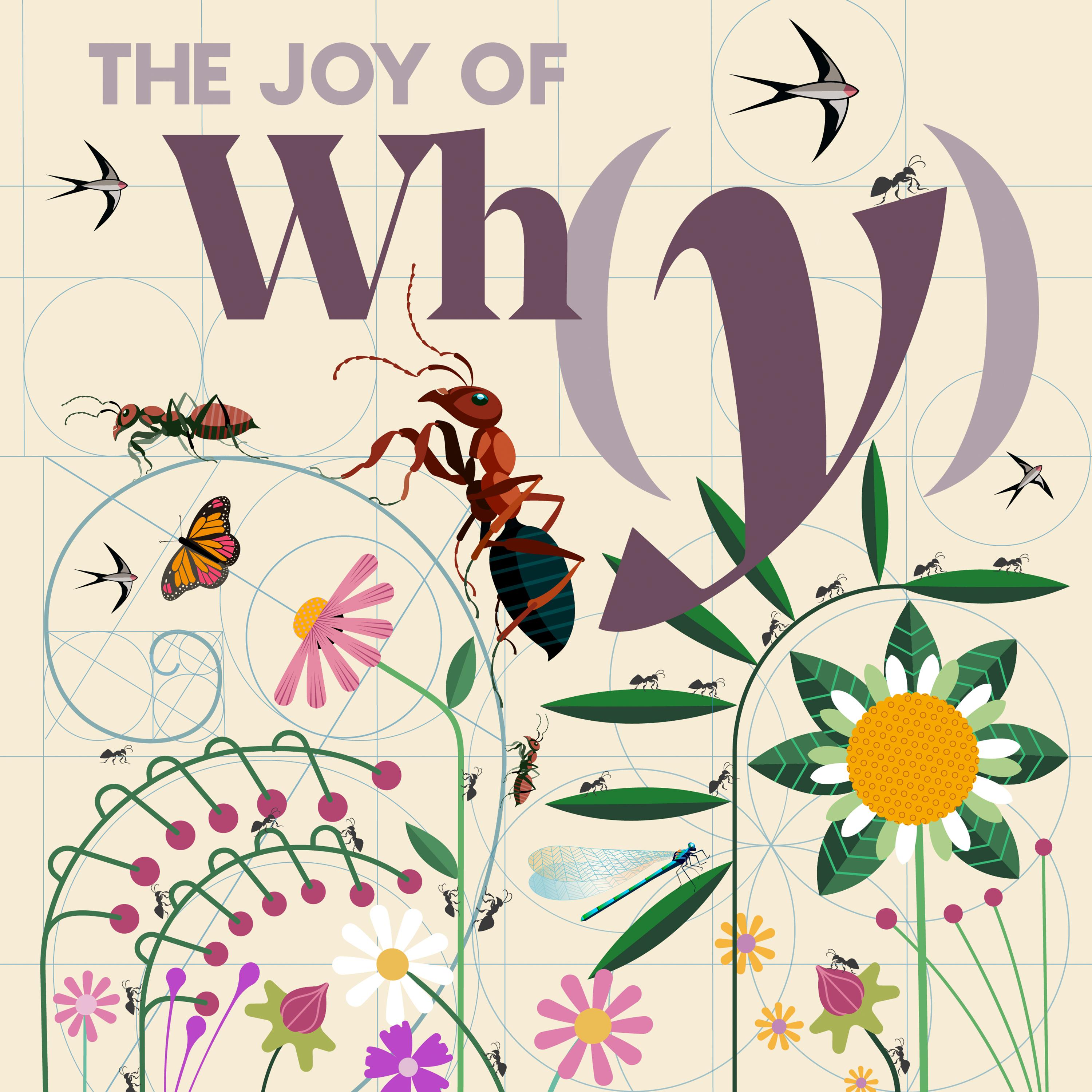 Thumbnail for "Does Form Really Shape Function?". Thumbnail for "Does Form Really Shape Function?".