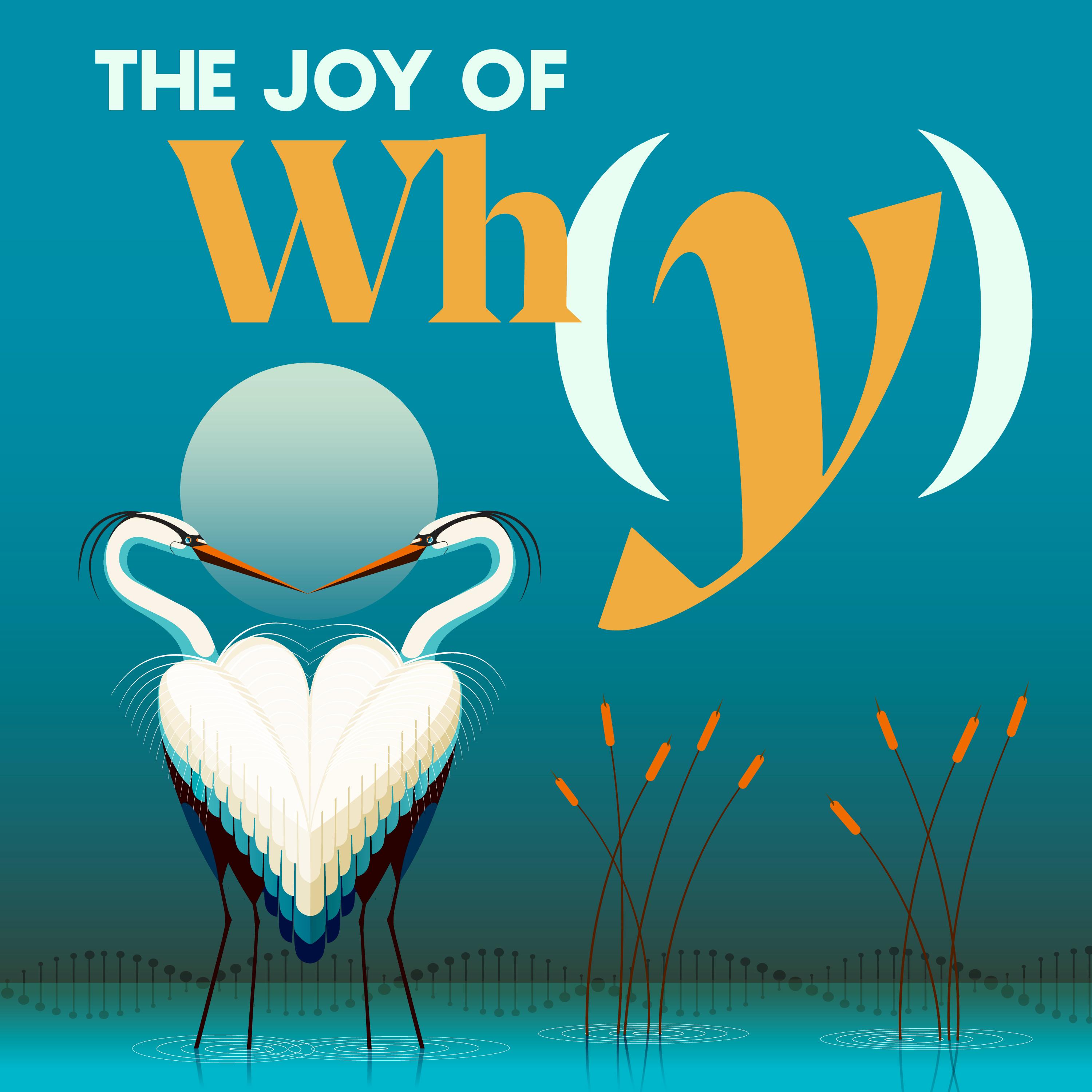 Thumbnail for "Do Beautiful Birds Have an Evolutionary Advantage?". Thumbnail for "Do Beautiful Birds Have an Evolutionary Advantage?".