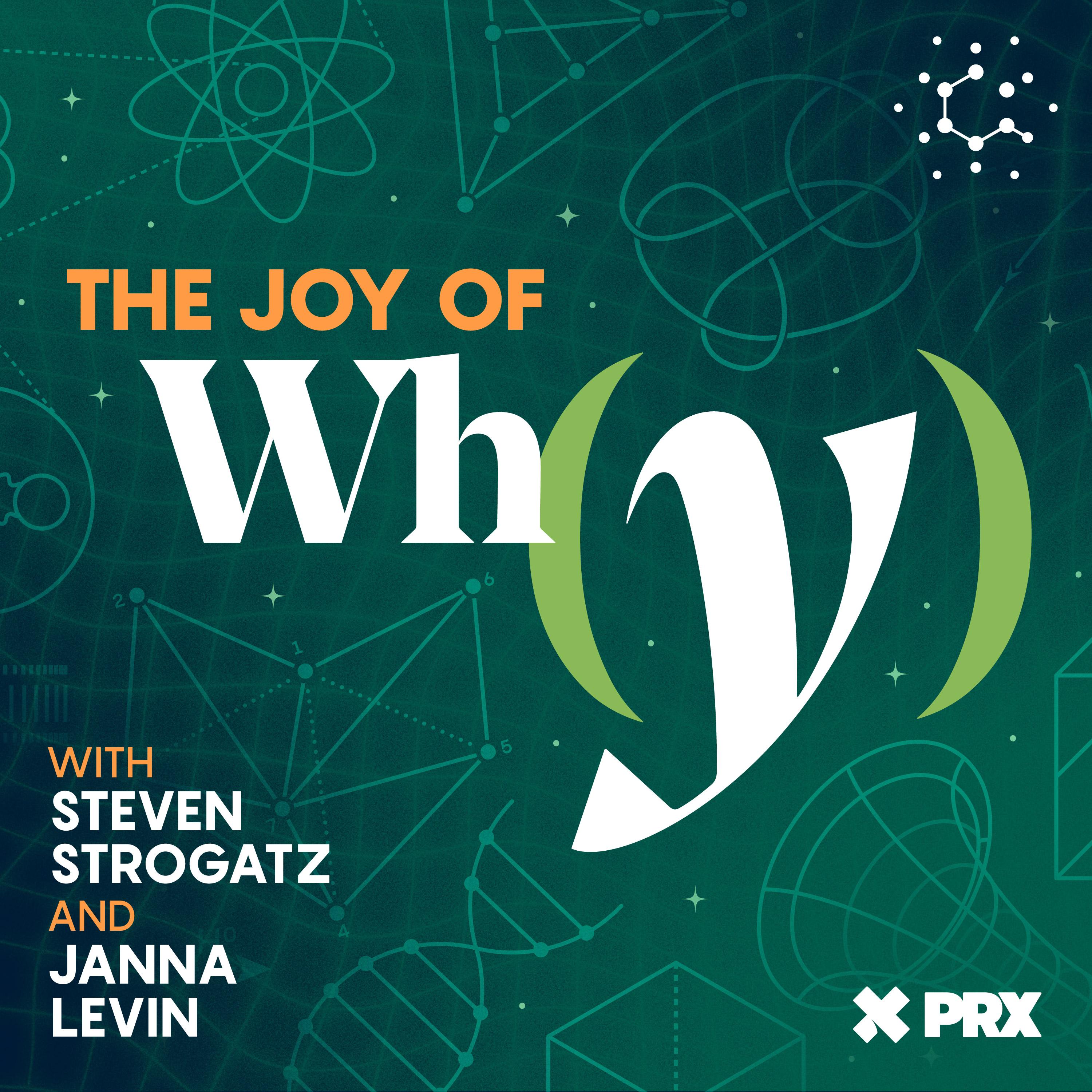 Logo for The Joy of Why