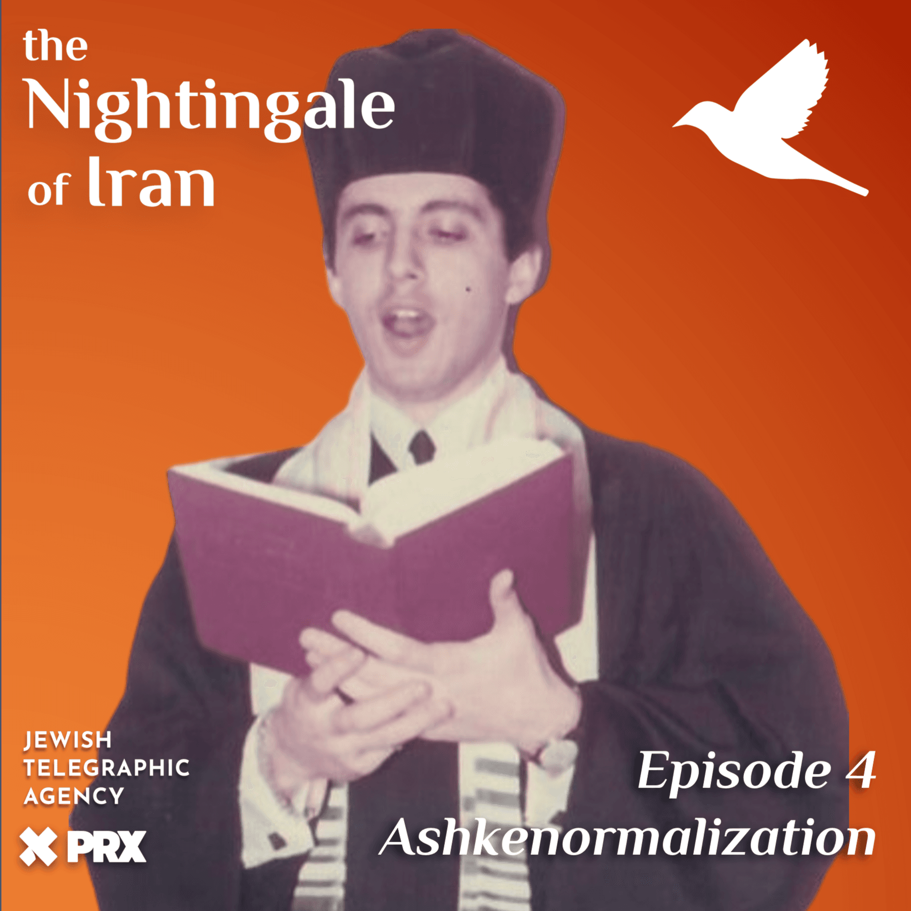 Thumbnail for "Episode 4 - Ashkenormalization". Thumbnail for "Episode 4 - Ashkenormalization".