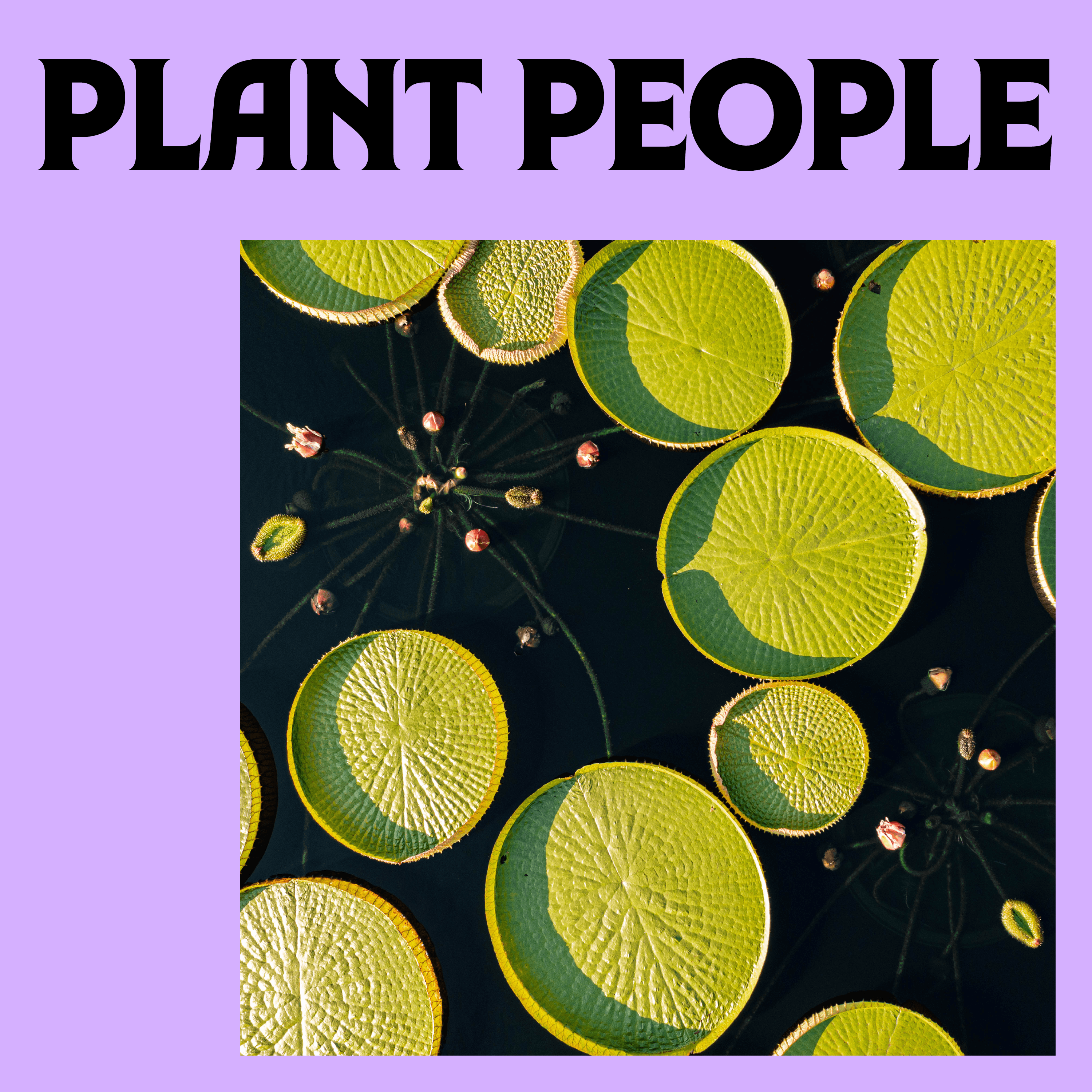 Thumbnail for "Giant Water Lilies with Brie Langley & Vanessa Callahan". Thumbnail for "Giant Water Lilies with Brie Langley & Vanessa Callahan".